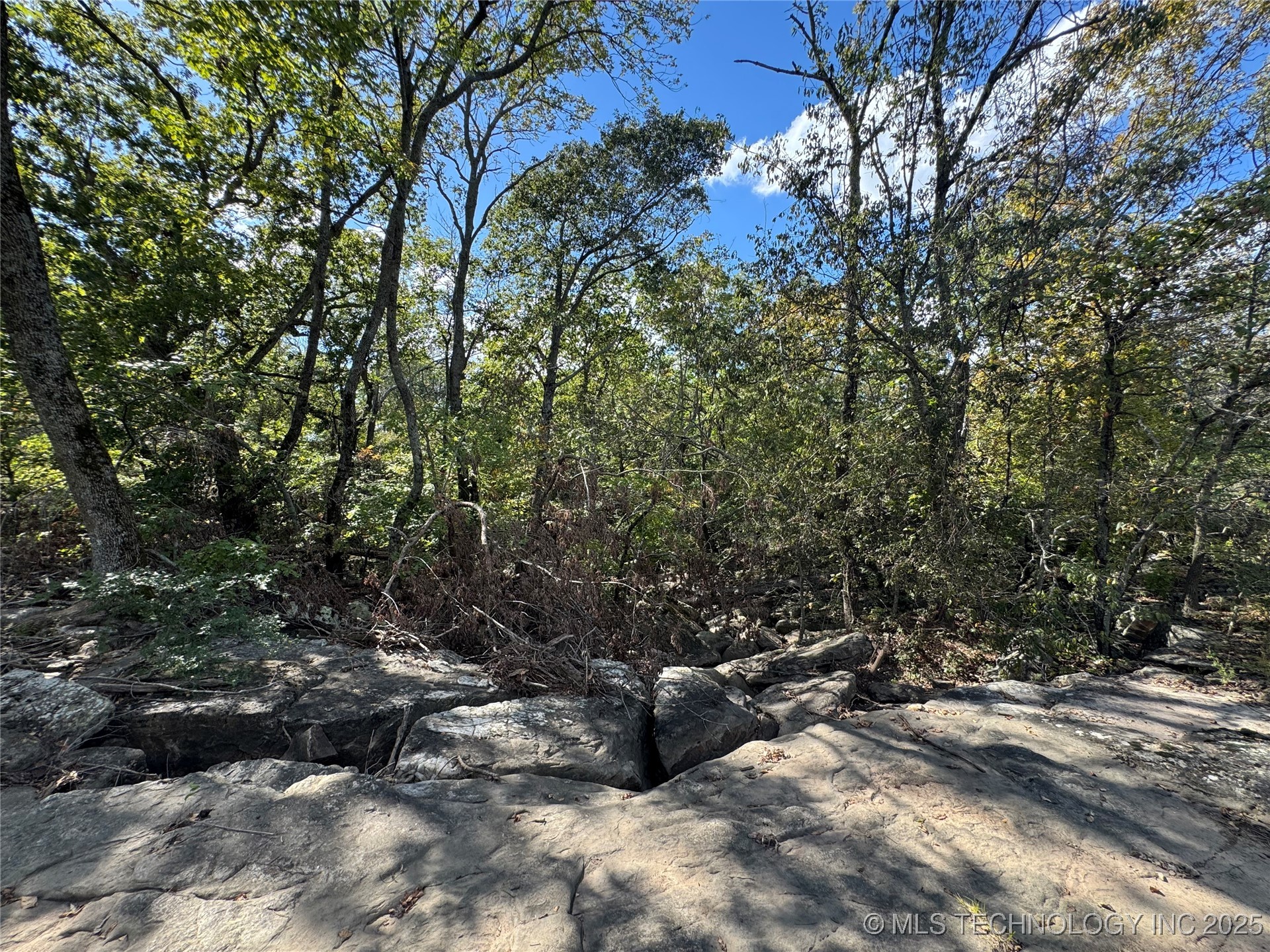 436 Property Photo 39