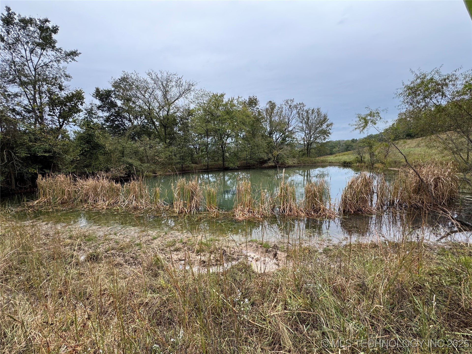 436 Property Photo 43