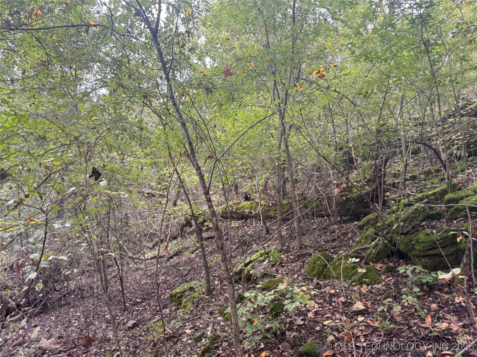 436 Property Photo 44