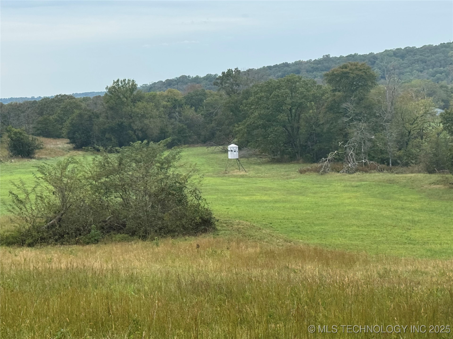 436 Property Photo 45