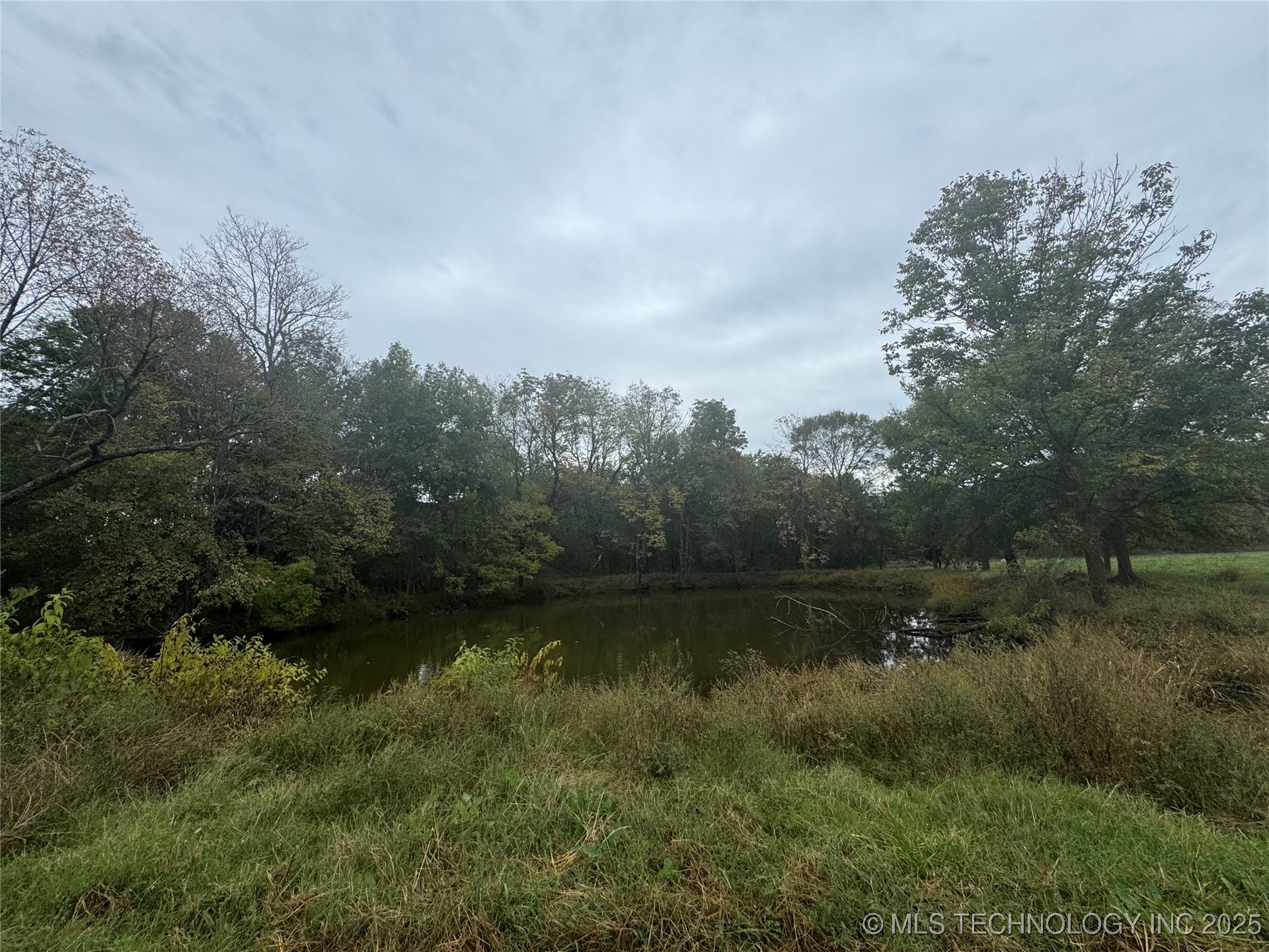 436 Property Photo 46