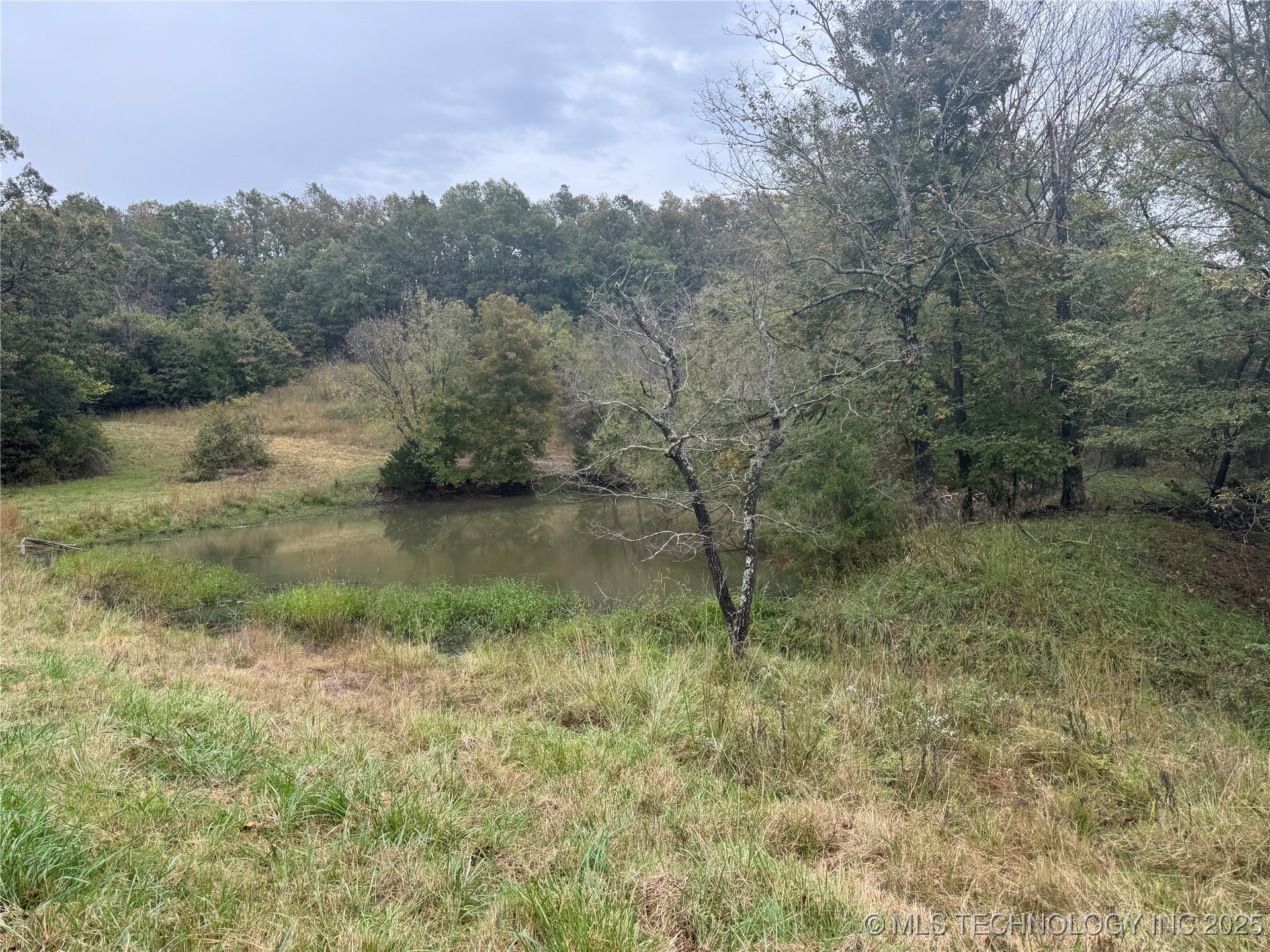 436 Property Photo 48