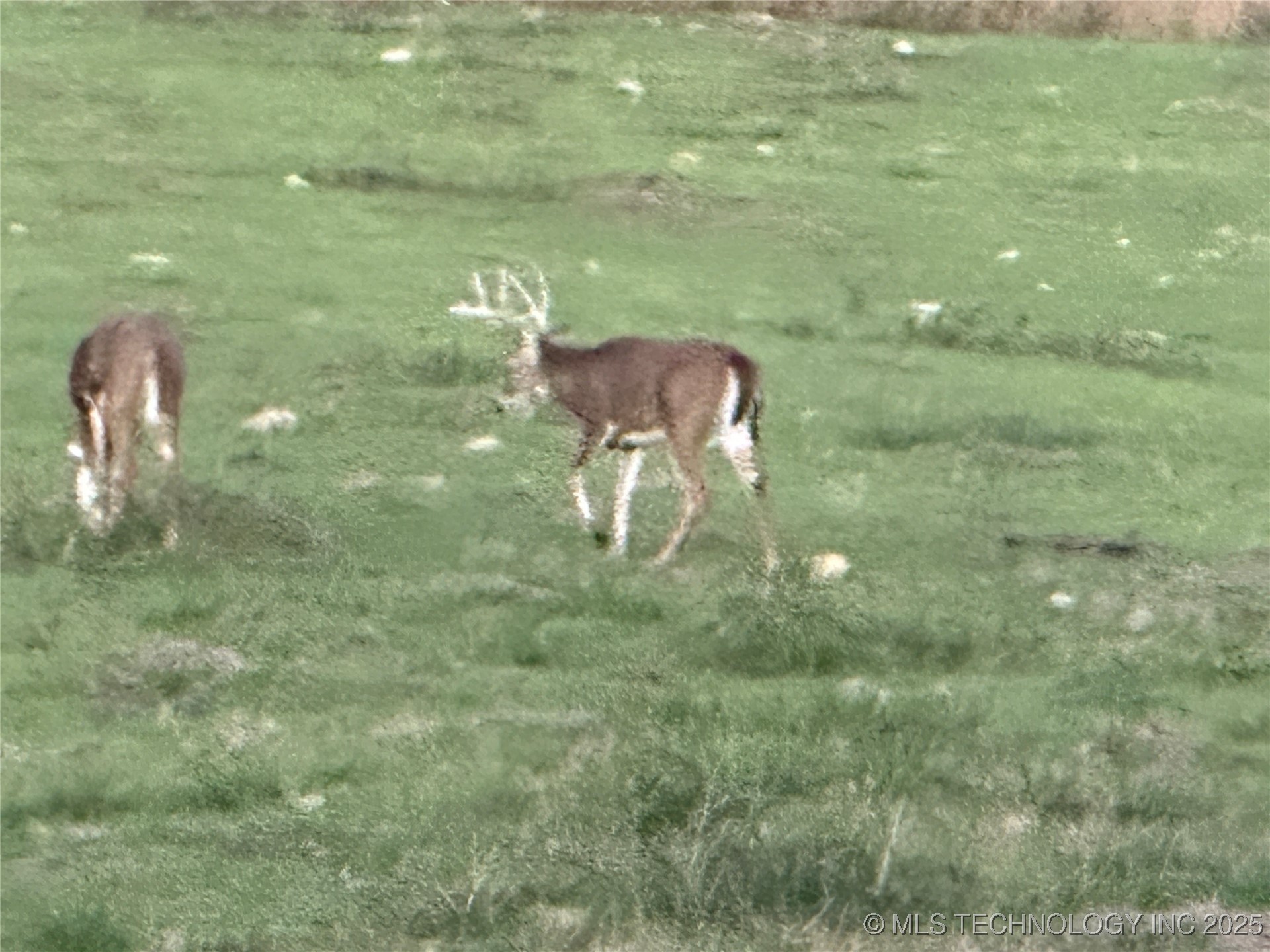 24901 Ew 280 Road Property Photo 50