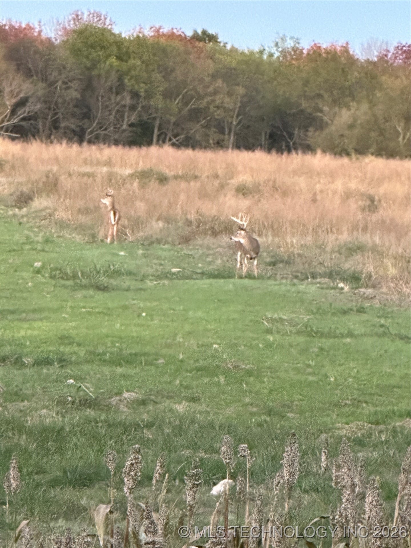 24901 Ew 280 Road Property Photo 51