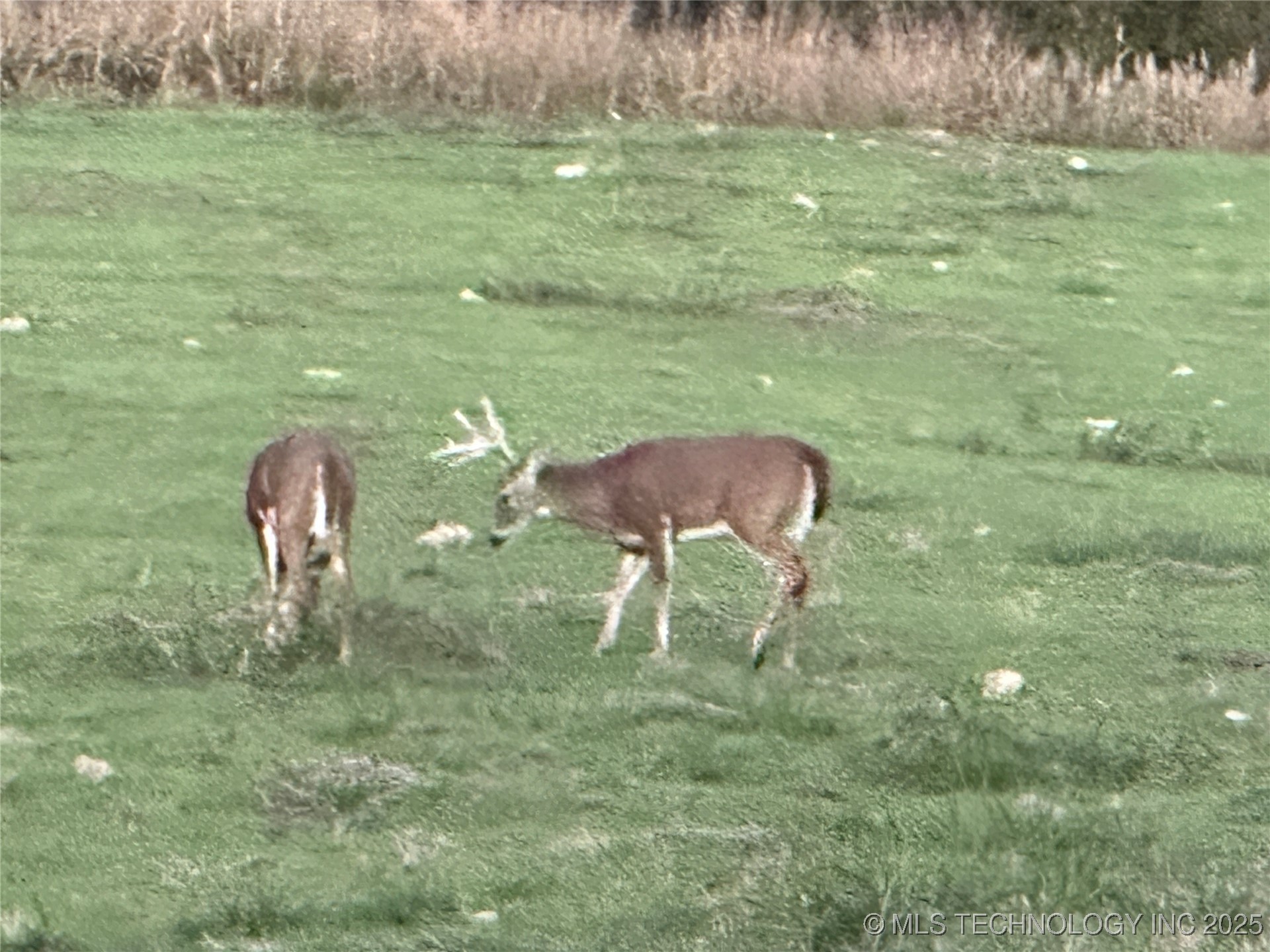 24901 Ew 280 Road Property Photo 52