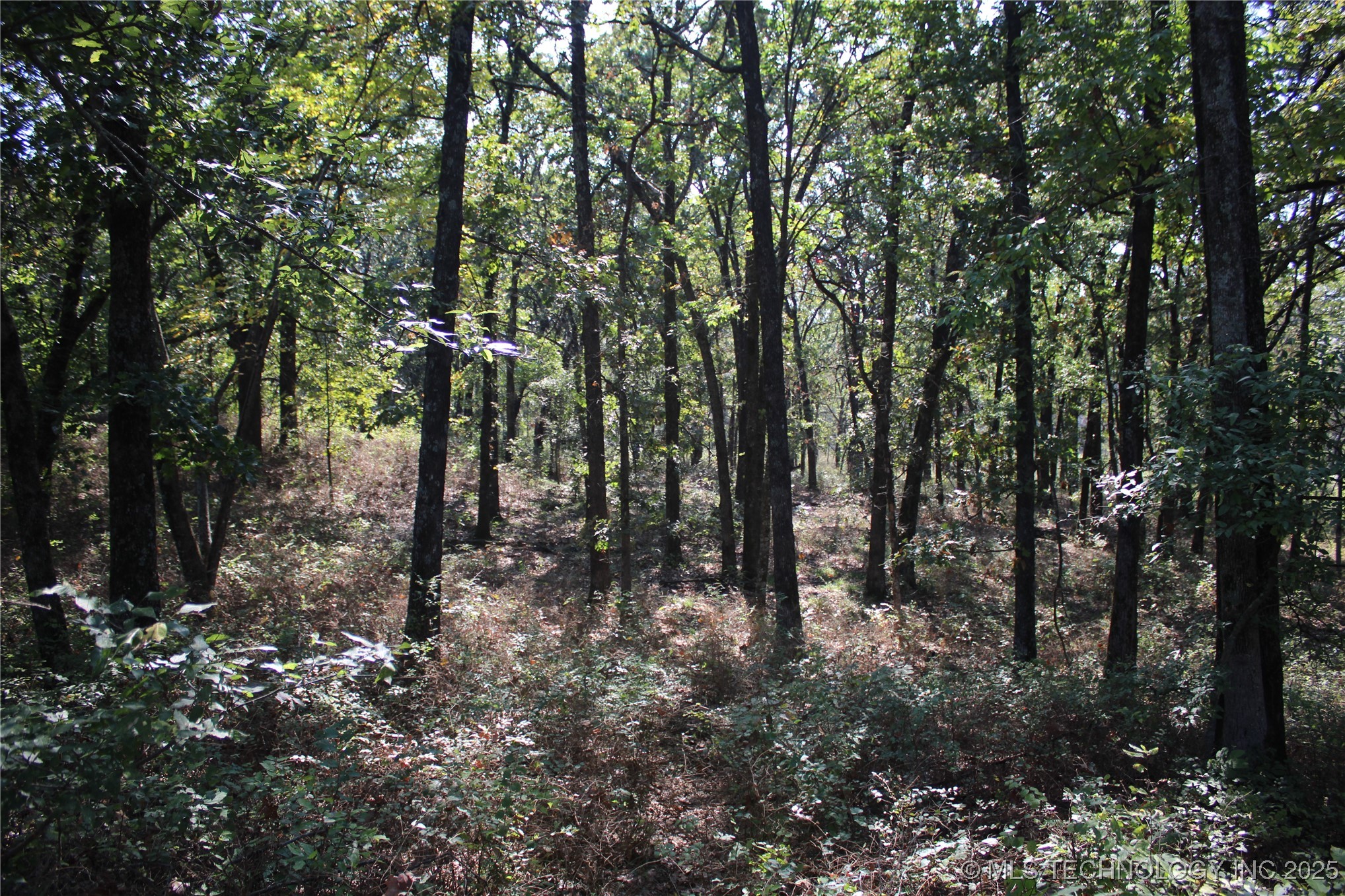 24901 Ew 280 Road Property Photo 58