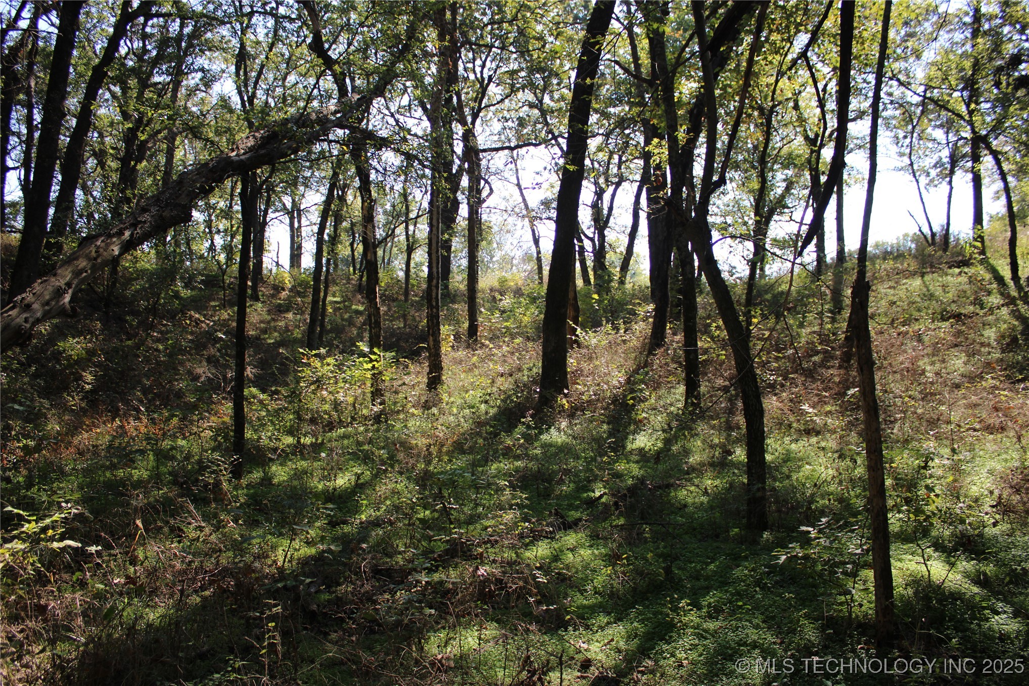 24901 Ew 280 Road Property Photo 72