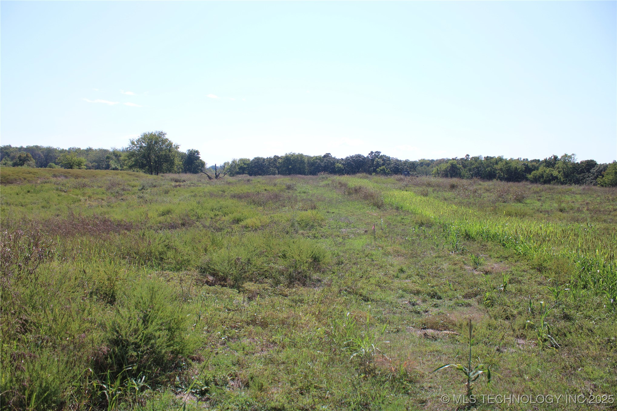 24901 Ew 280 Road Property Photo 74