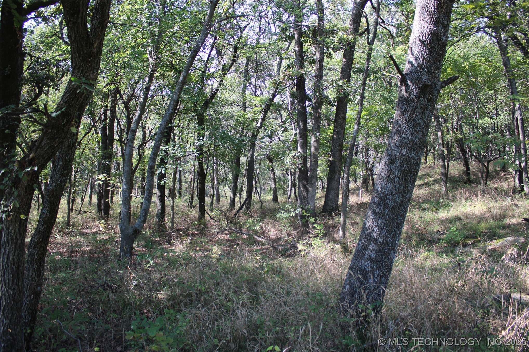 24901 Ew 280 Road Property Photo 78