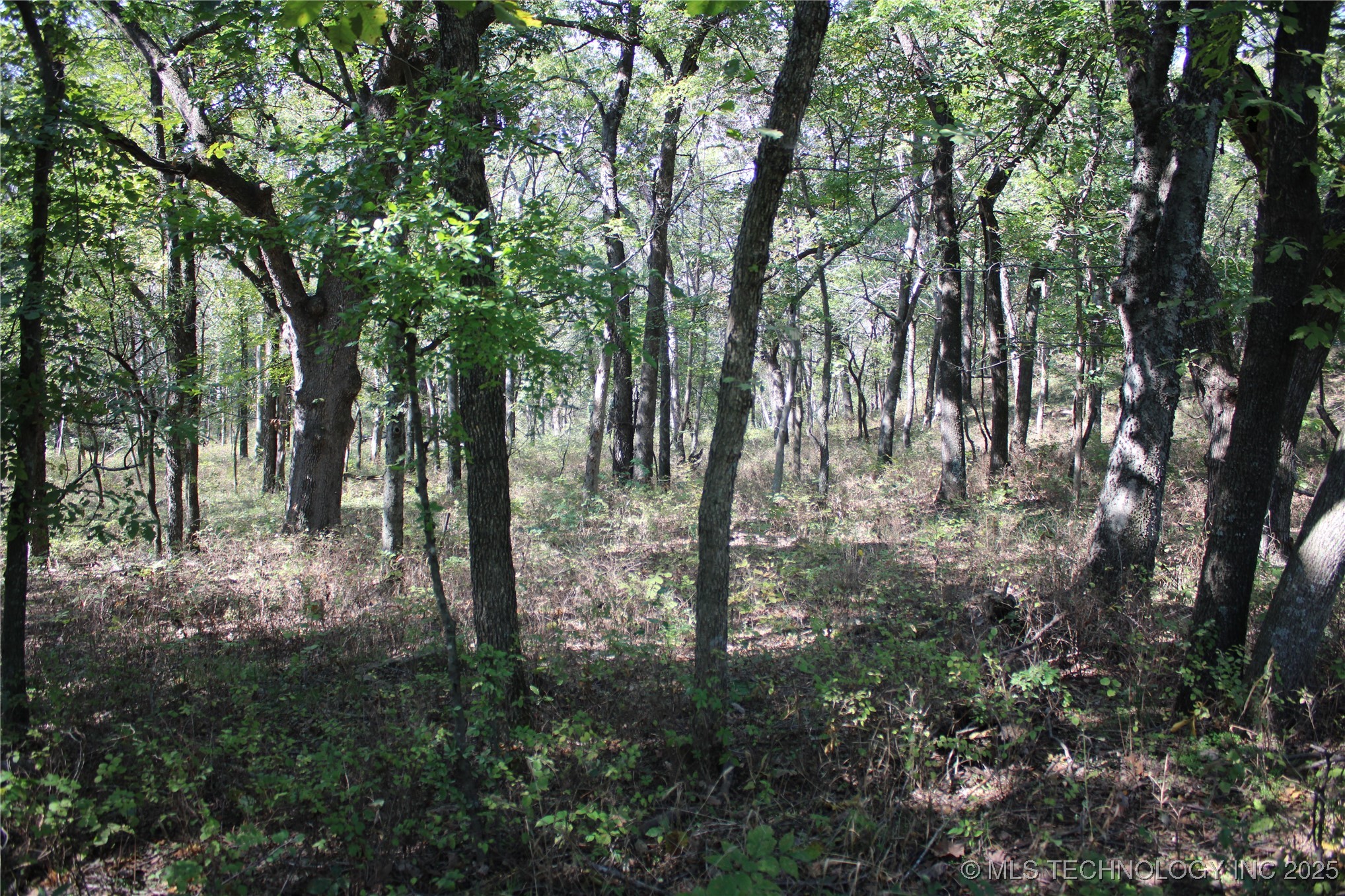 24901 Ew 280 Road Property Photo 79