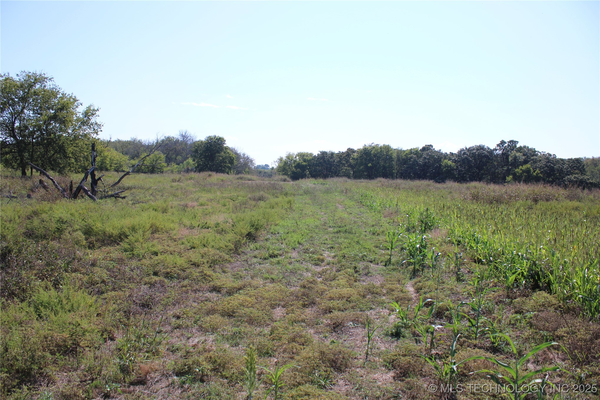 24901 Ew 280 Road Property Photo 80