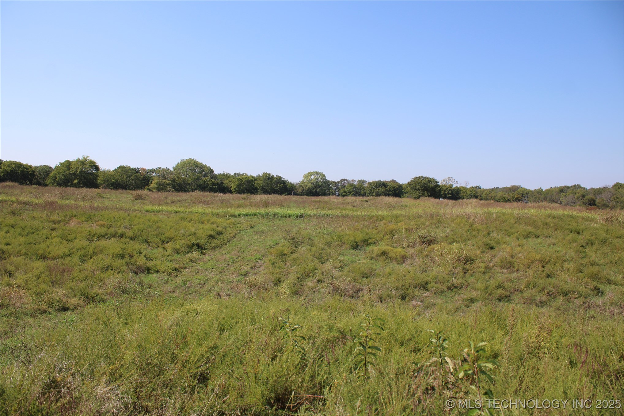 24901 Ew 280 Road Property Photo 81