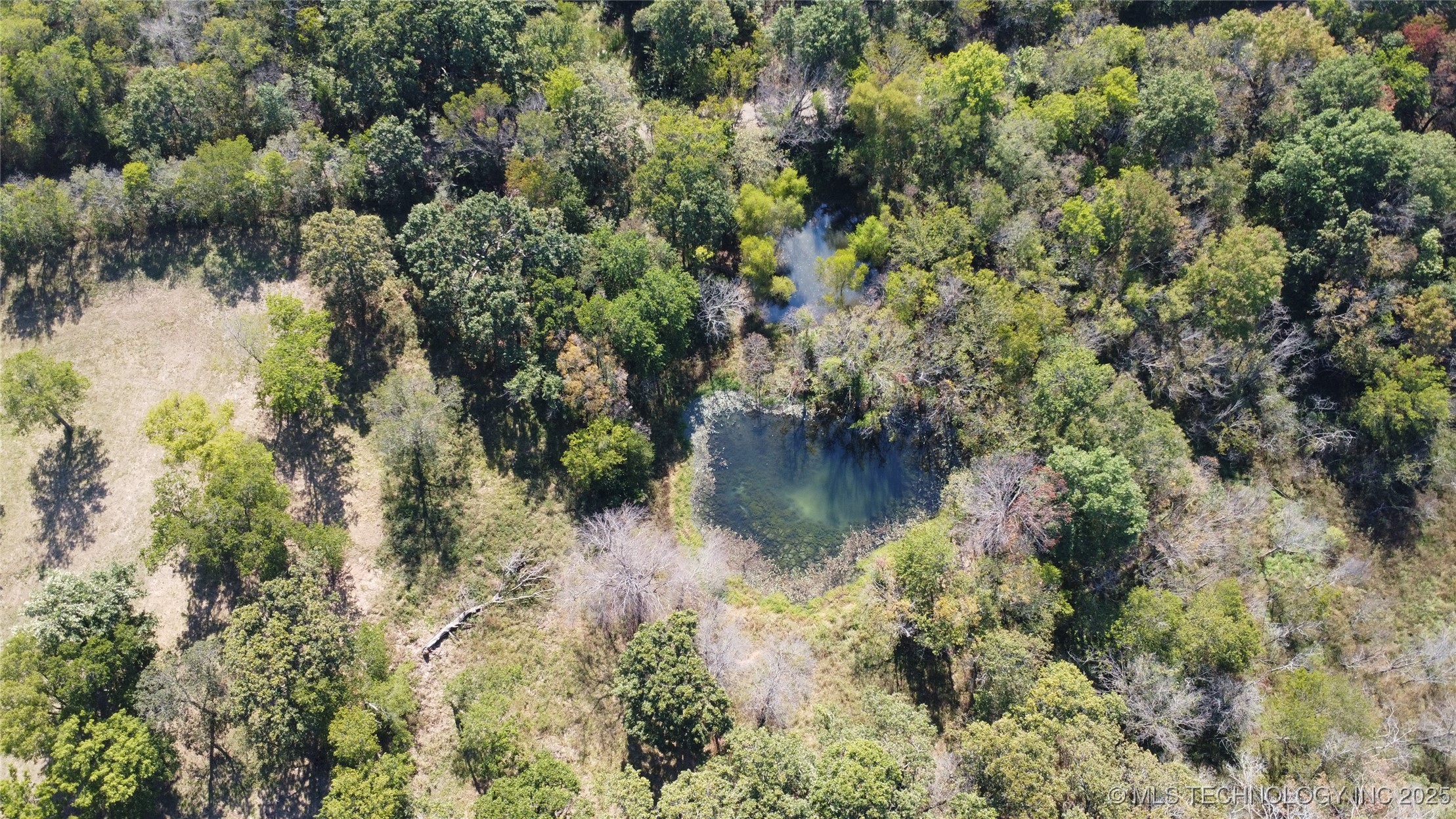 24901 Ew 280 Road Property Photo 82