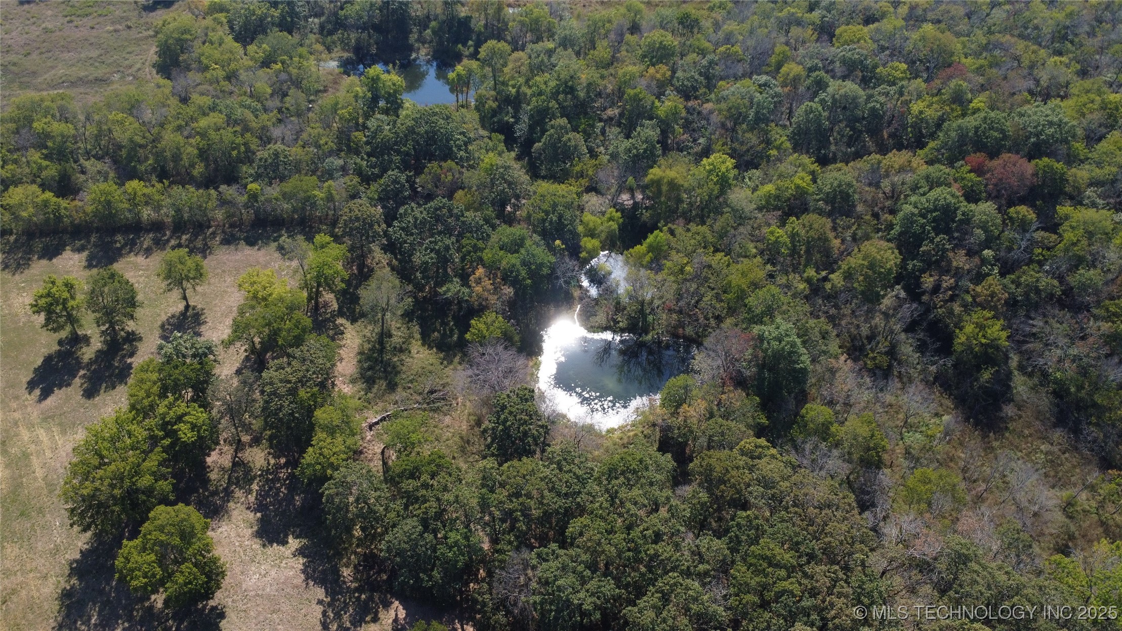 24901 Ew 280 Road Property Photo 83