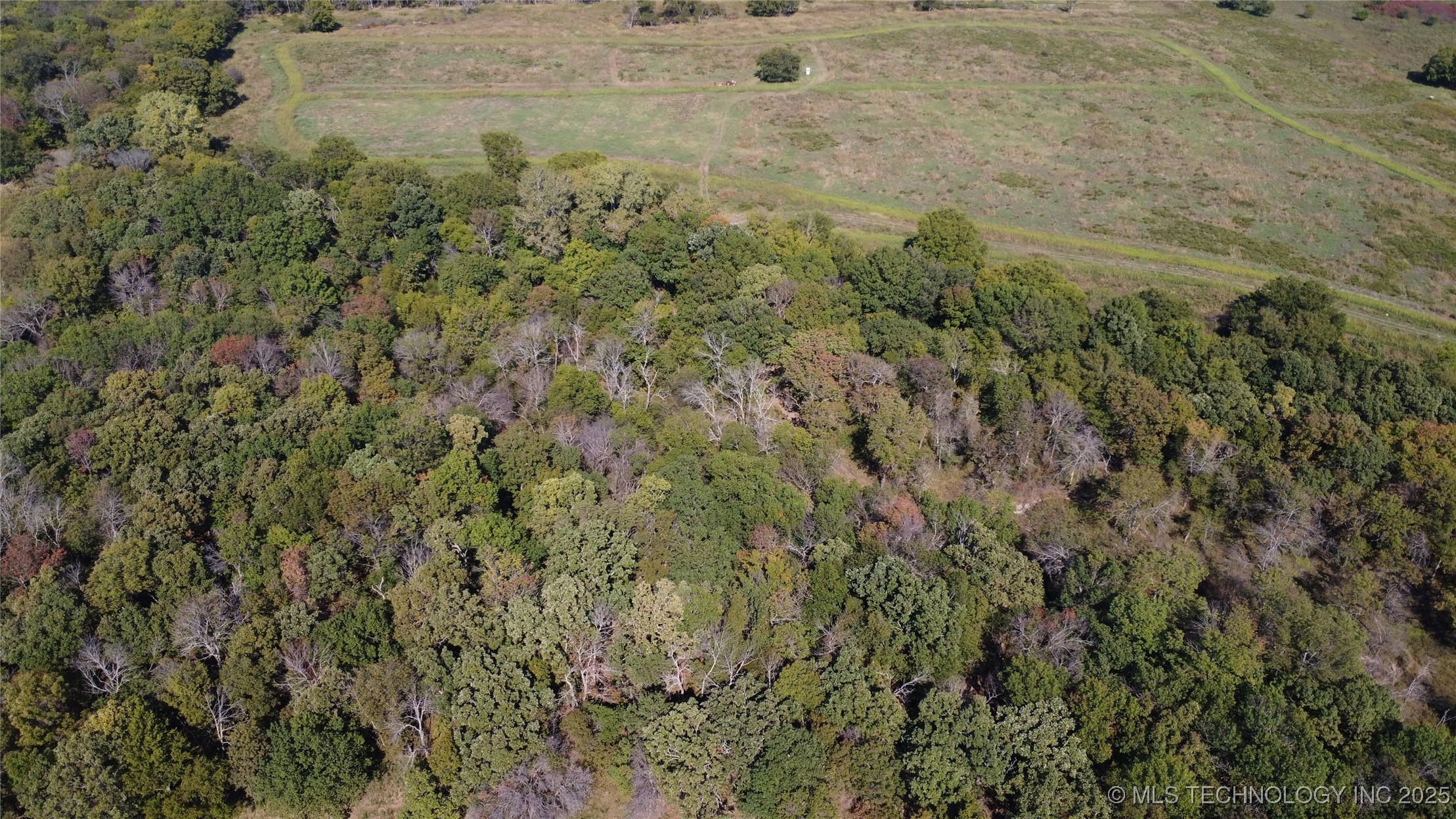 24901 Ew 280 Road Property Photo 86