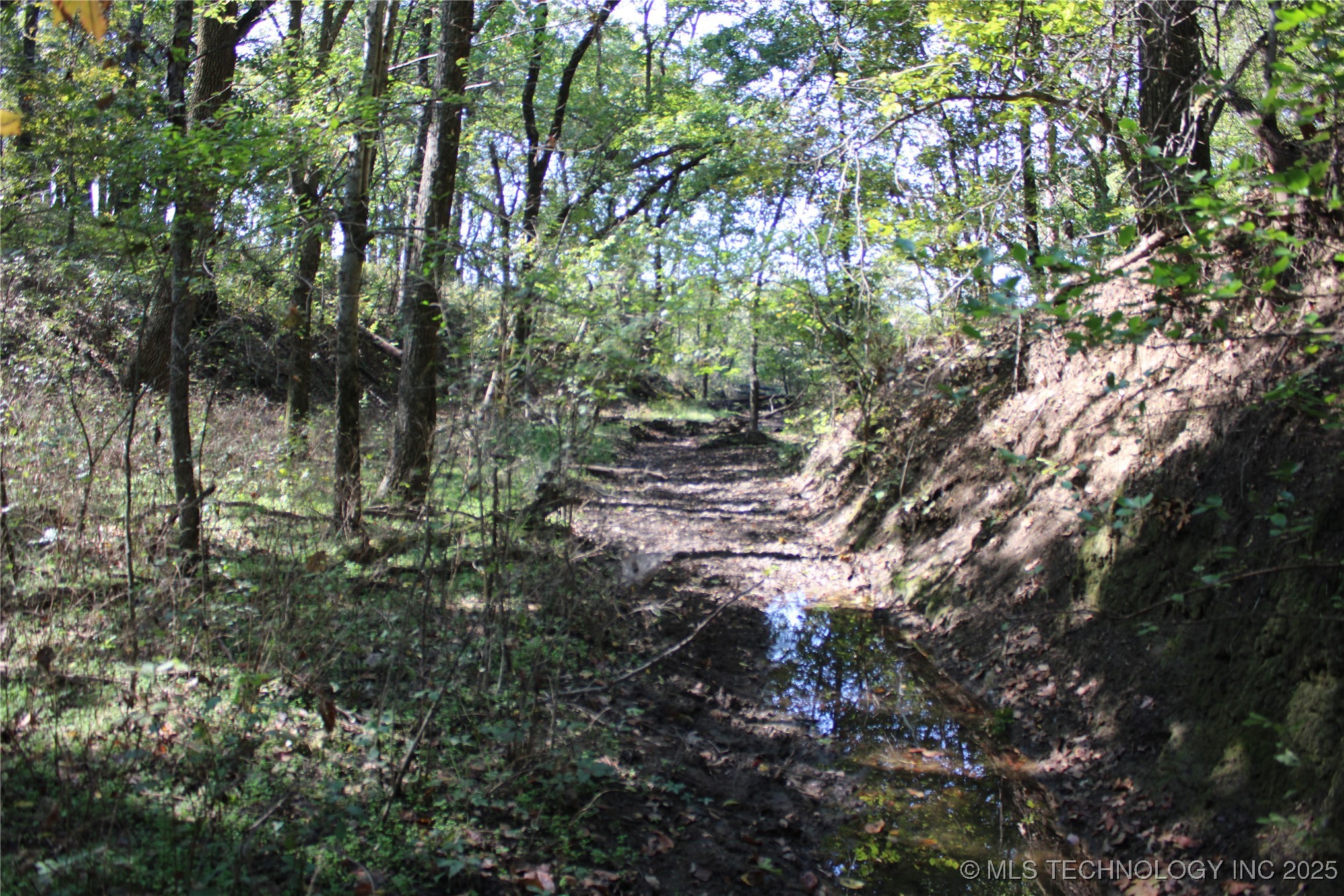 24901 Ew 280 Road Property Photo 87