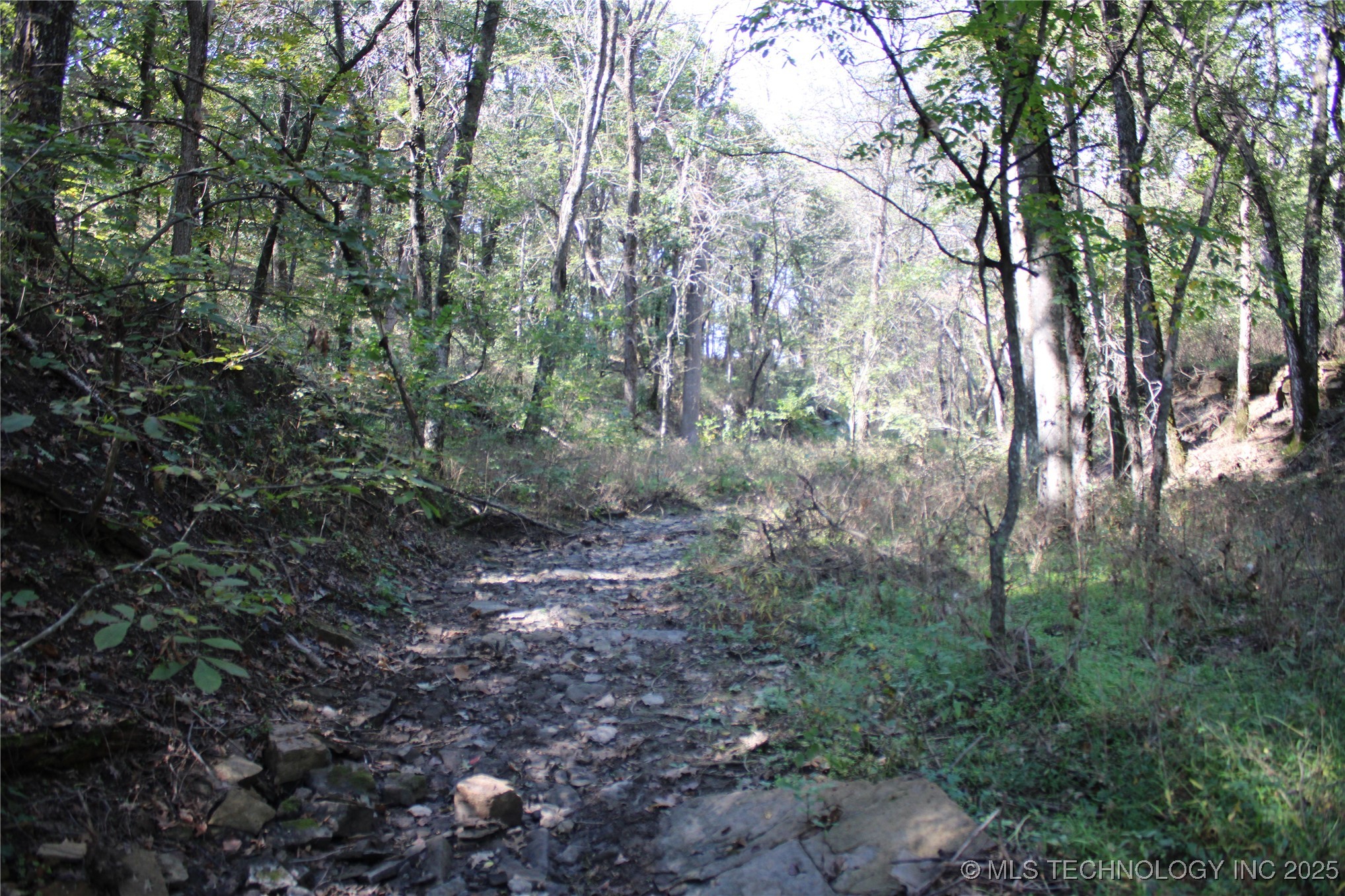 24901 Ew 280 Road Property Photo 92