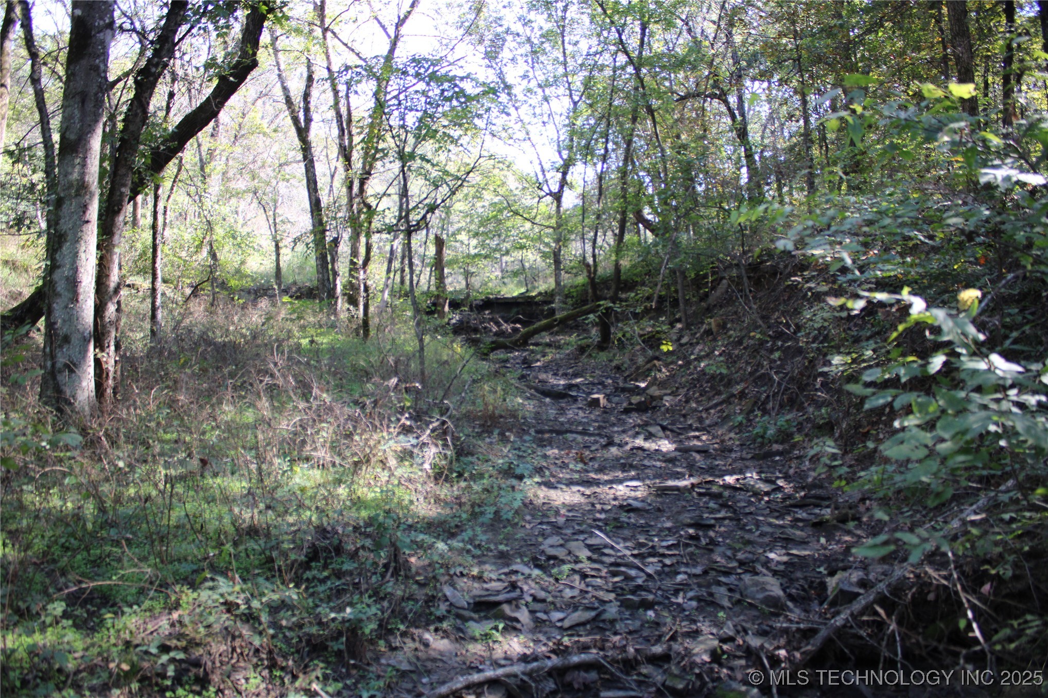 24901 Ew 280 Road Property Photo 93