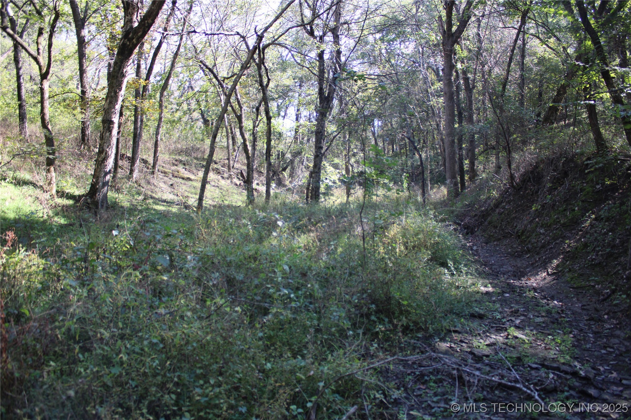 24901 Ew 280 Road Property Photo 94