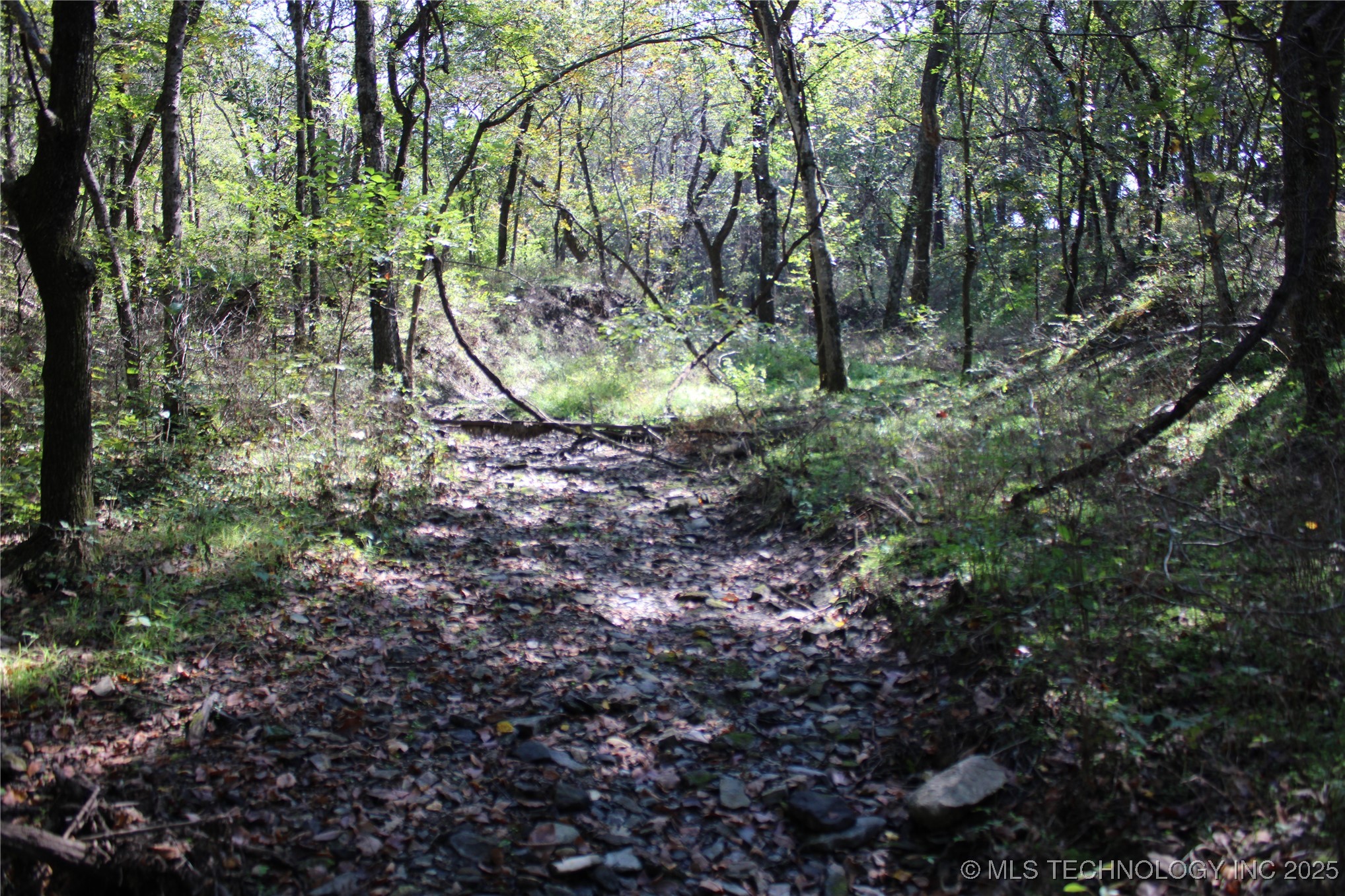 24901 Ew 280 Road Property Photo 96