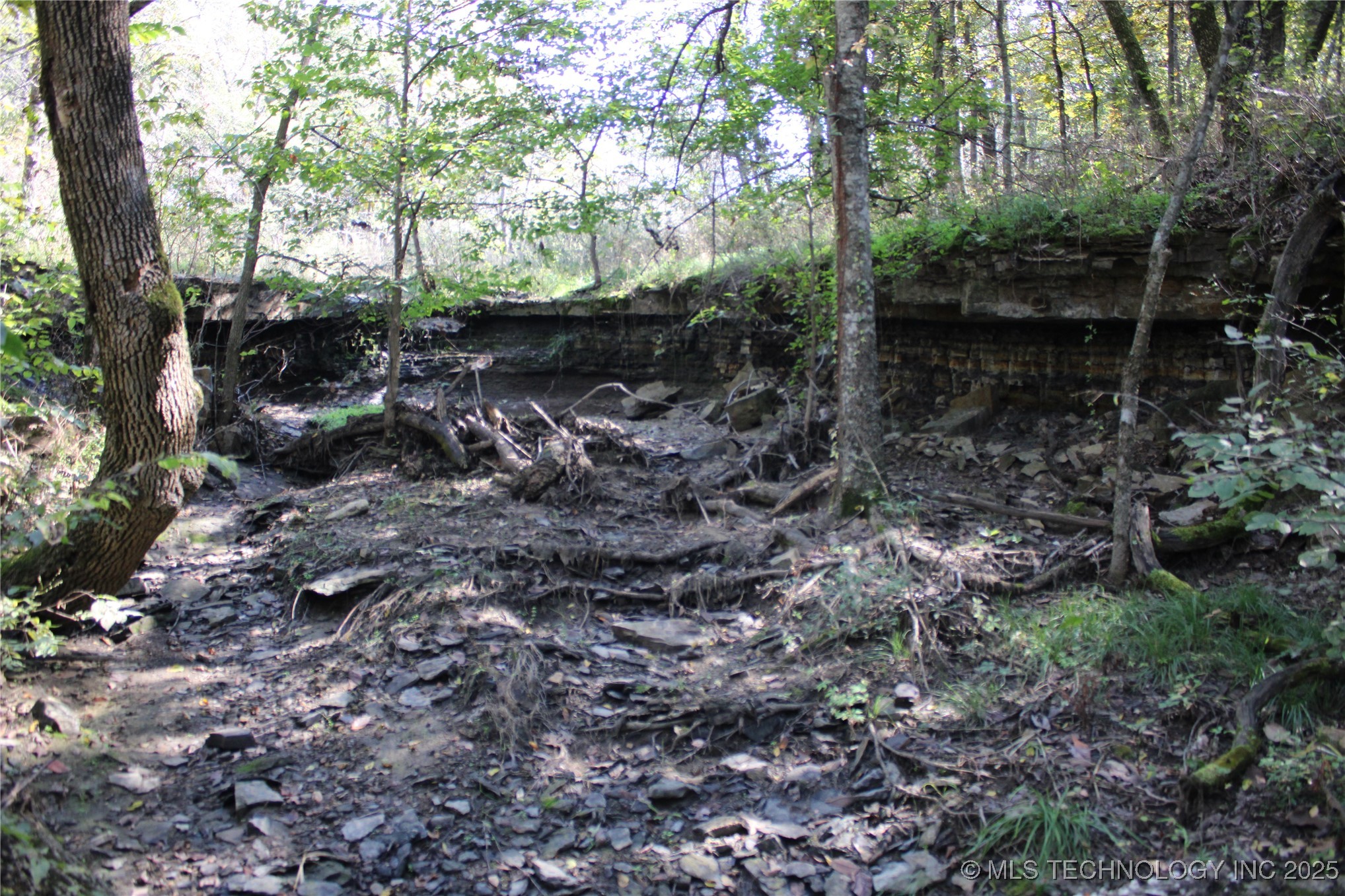 24901 Ew 280 Road Property Photo 100