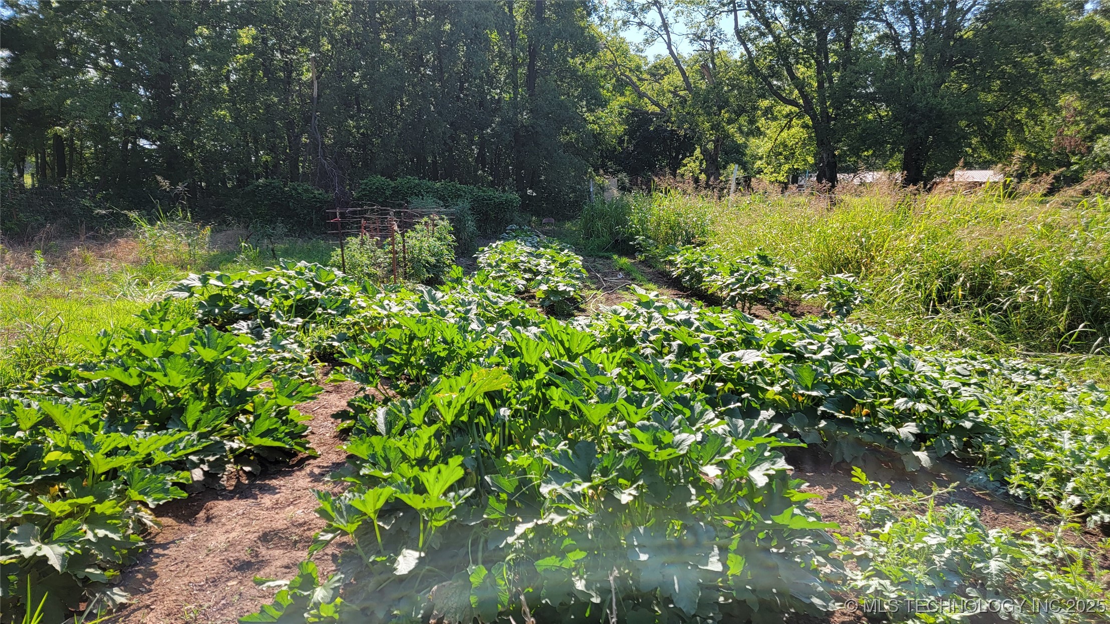 37406 S 4410 Property Photo 16