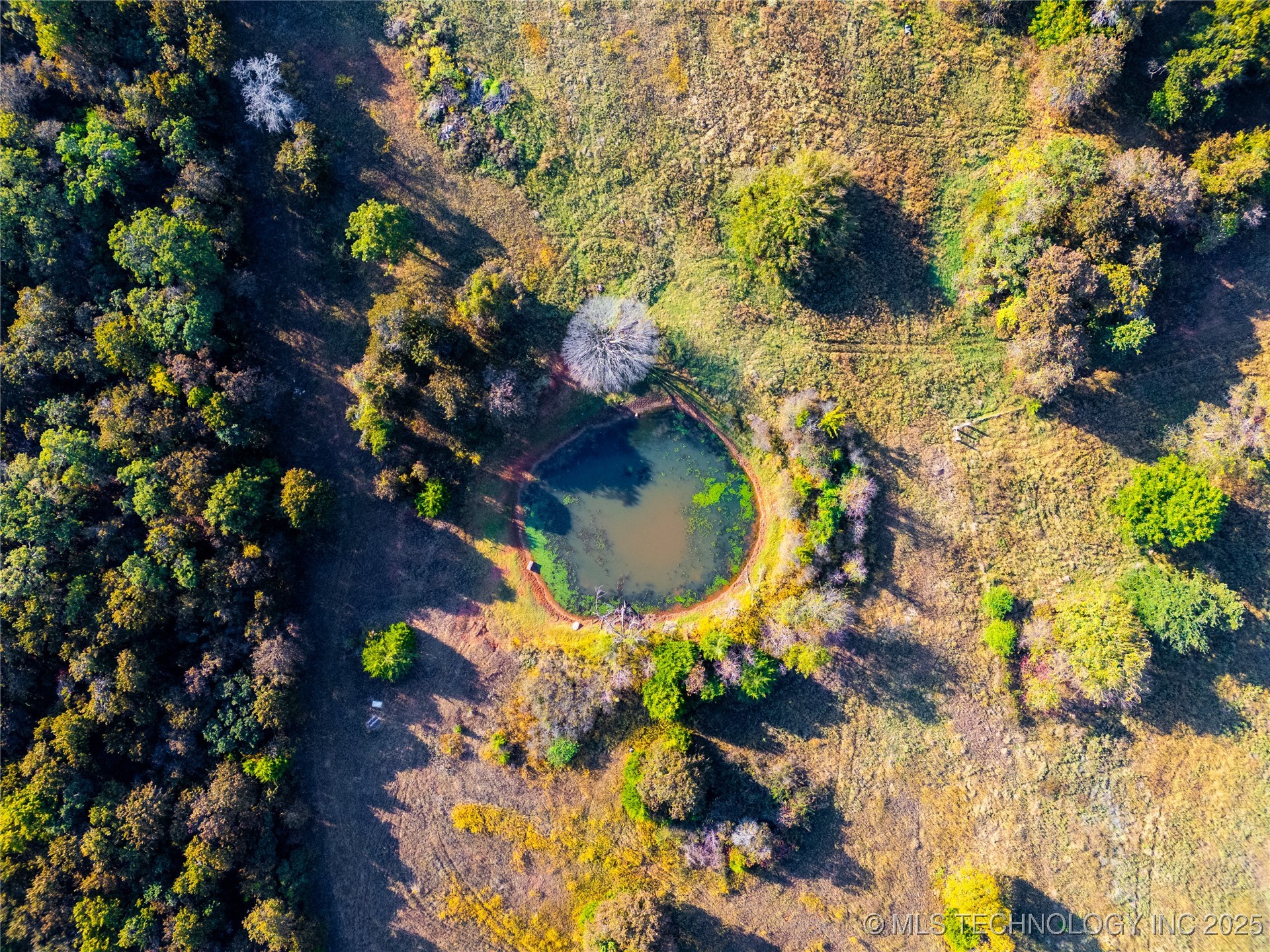 4 96th Avenue Ne Property Photo 10