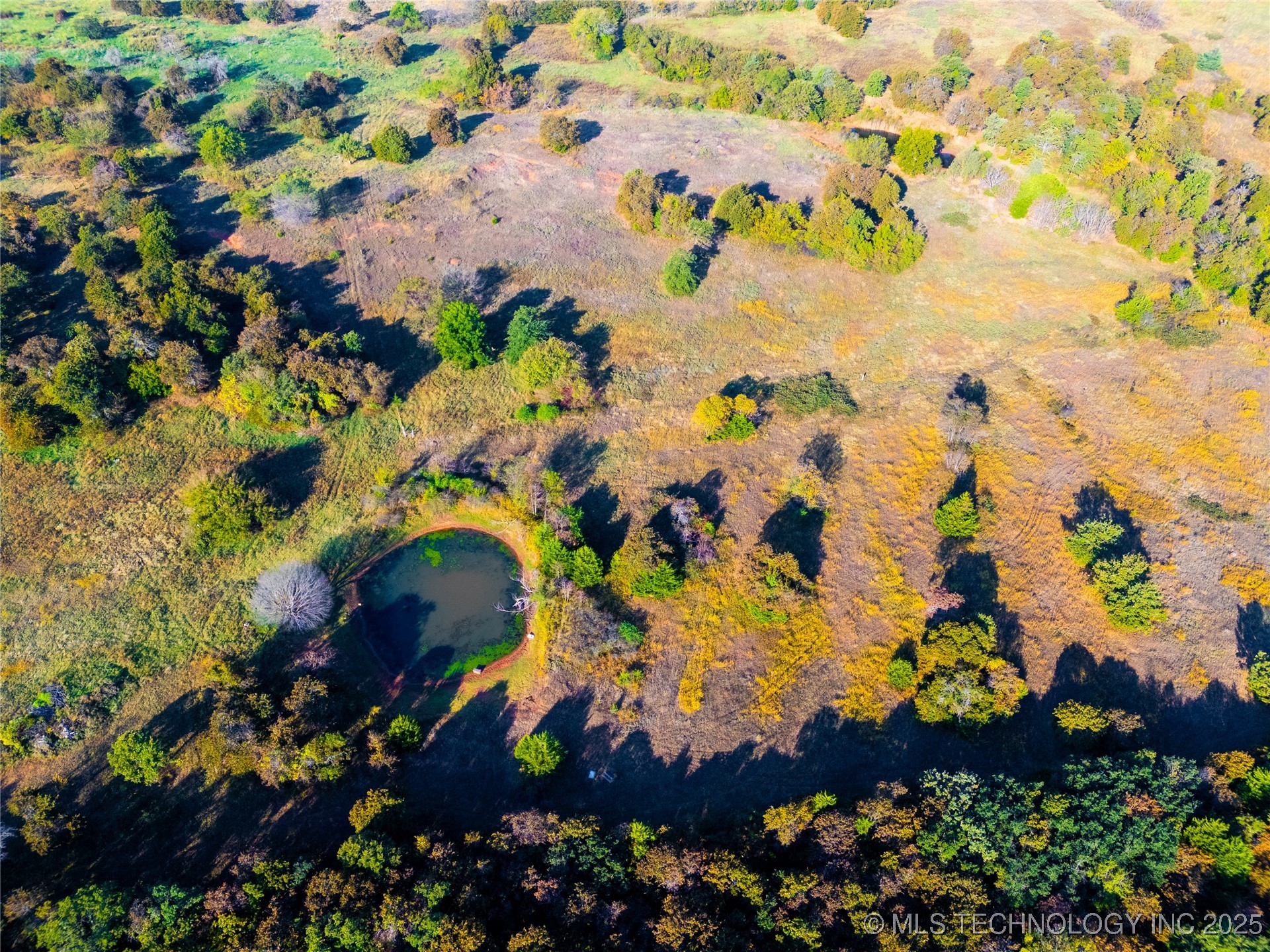 4 96th Avenue Ne Property Photo 12