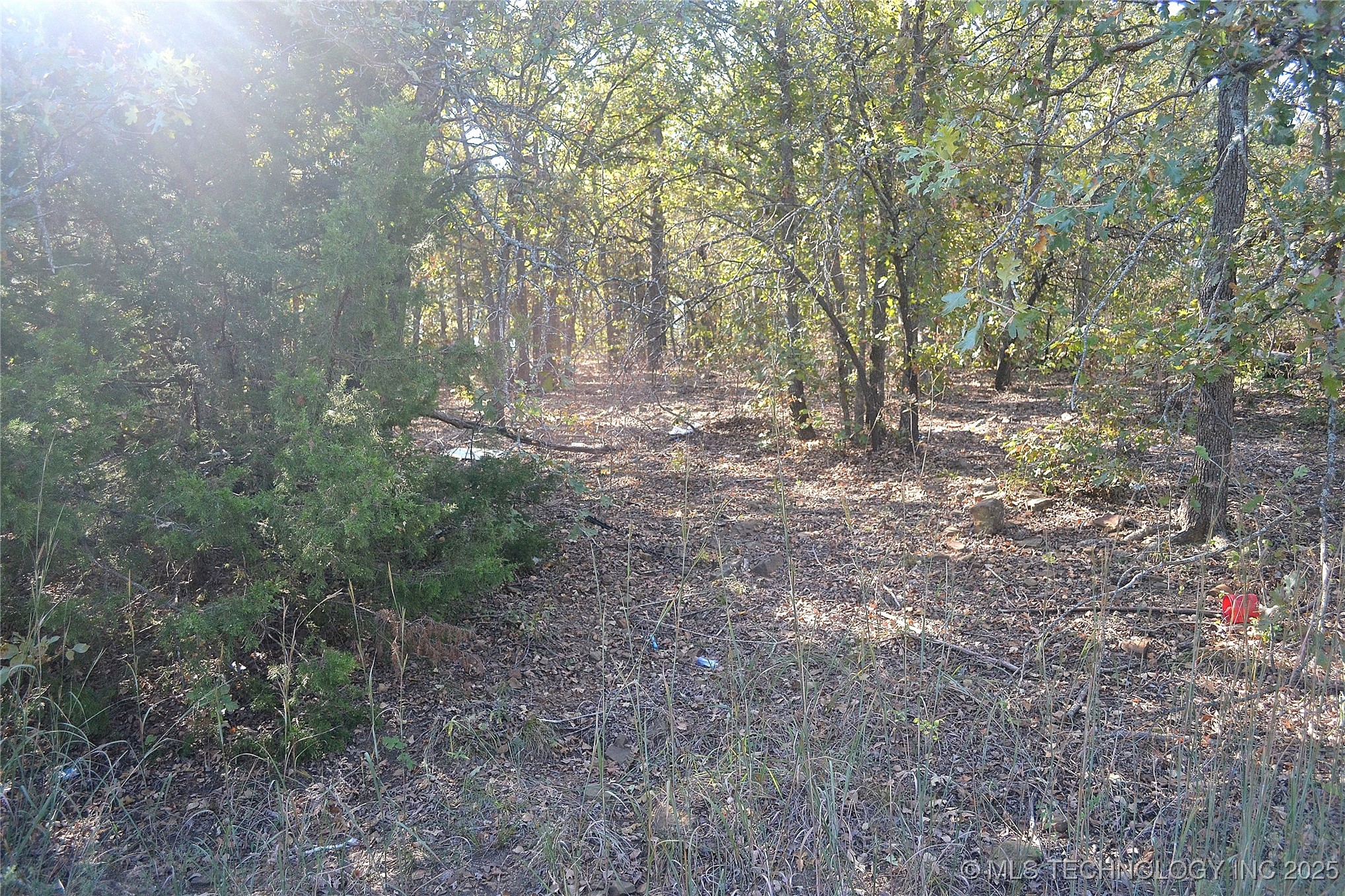 0001 Buffalo Pass Property Photo 1