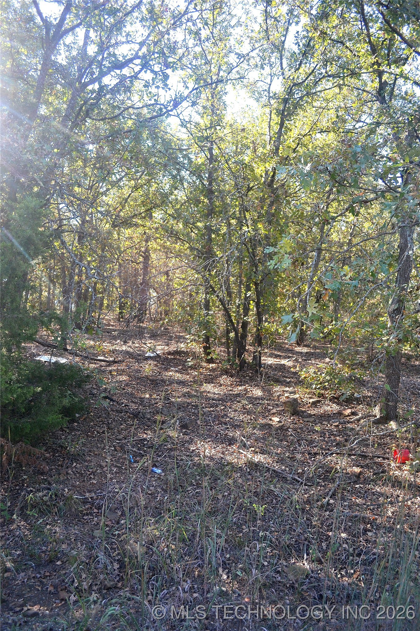 0001 Buffalo Pass Property Photo 2