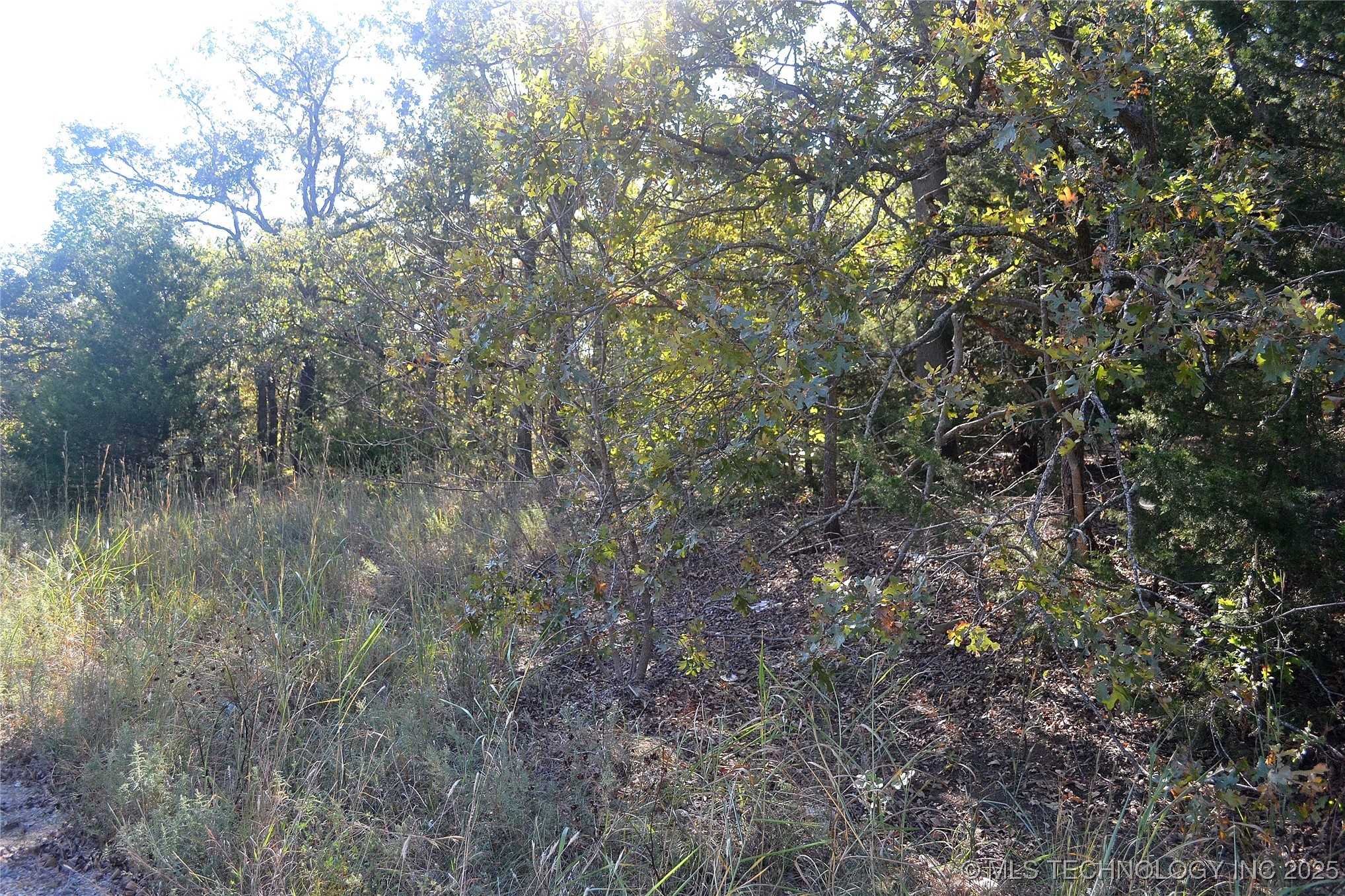 0001 Buffalo Pass Property Photo 3