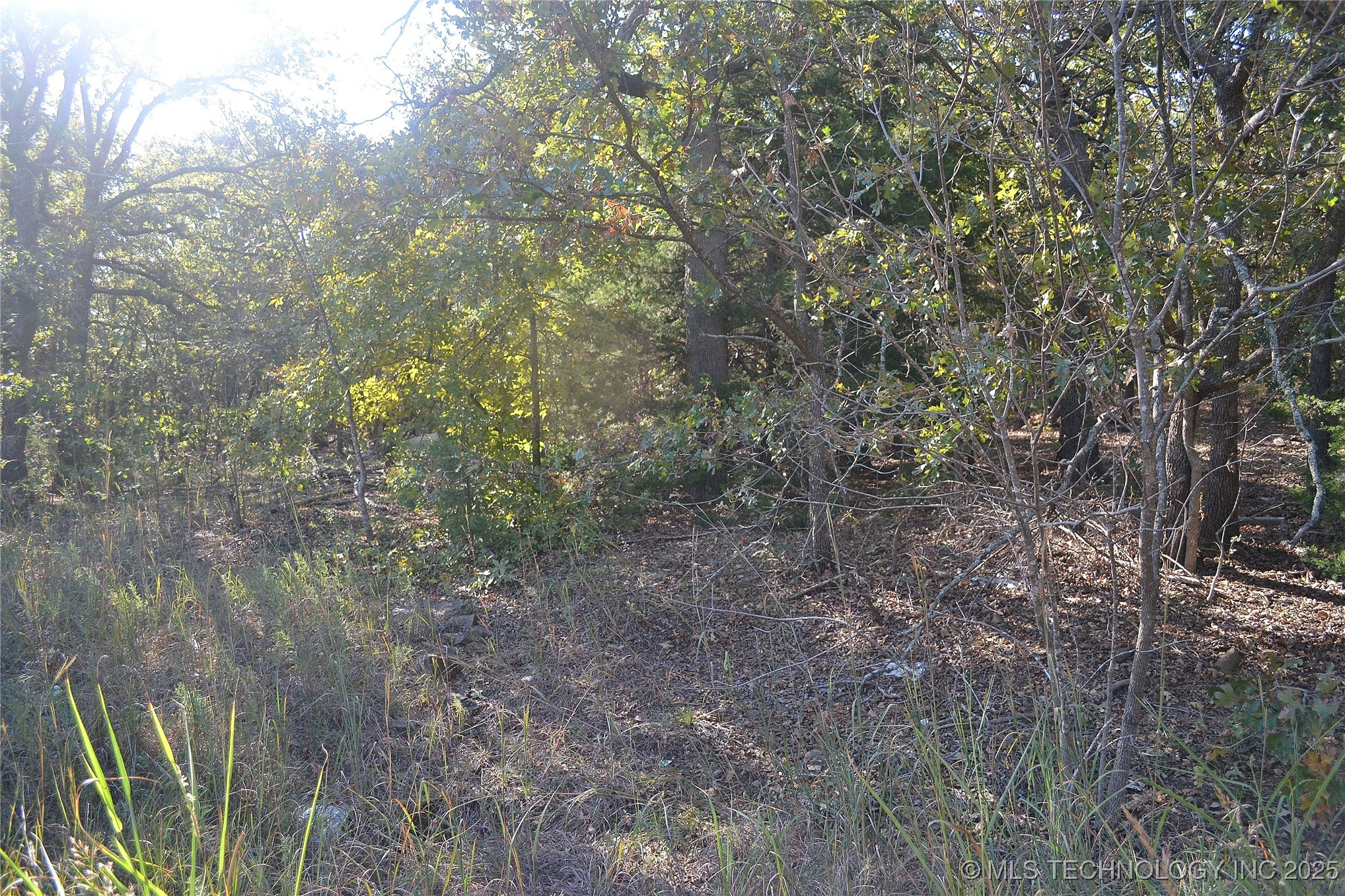 0001 Buffalo Pass Property Photo 4