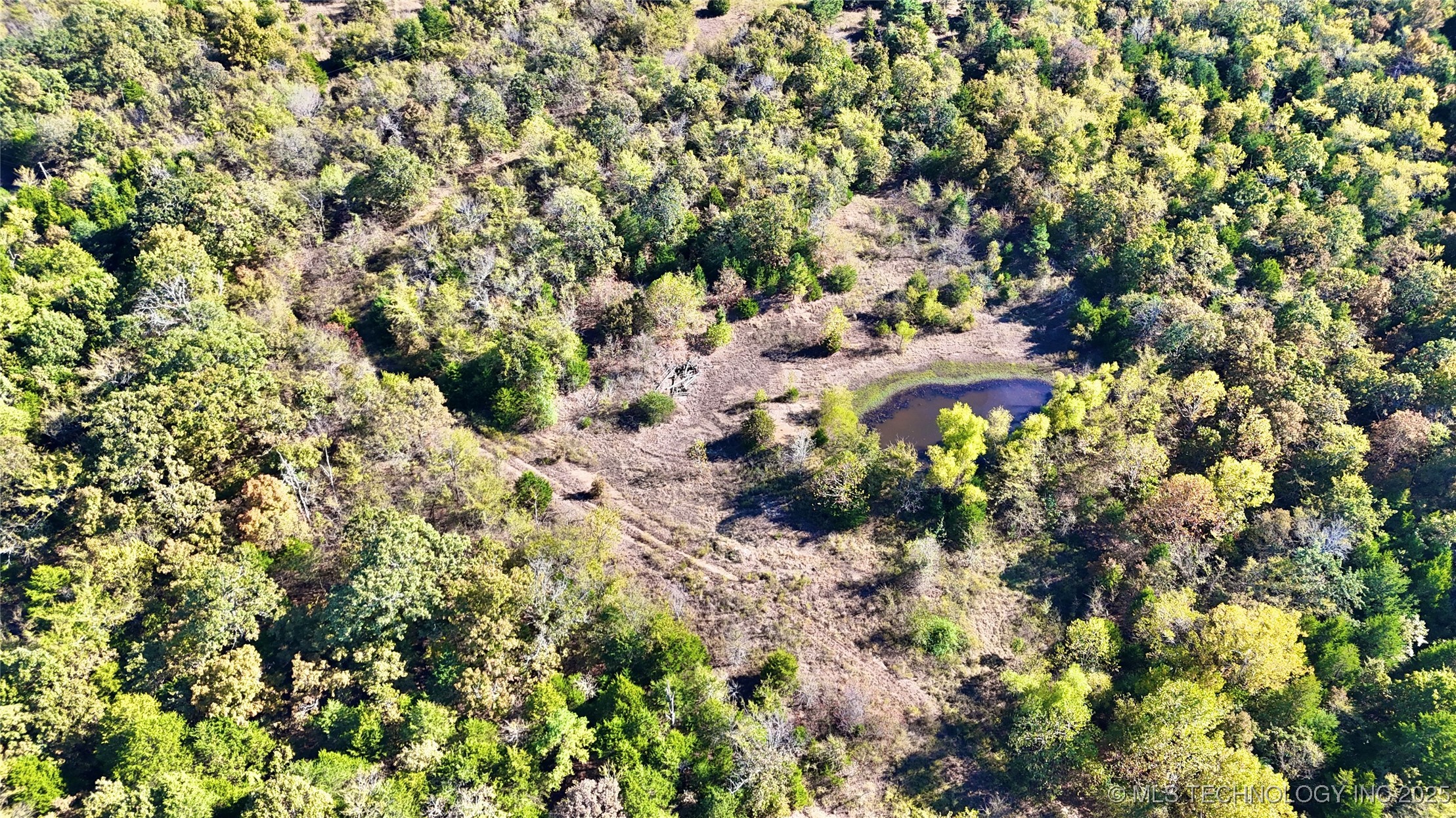 31651 W County Road 1240 Property Photo 5