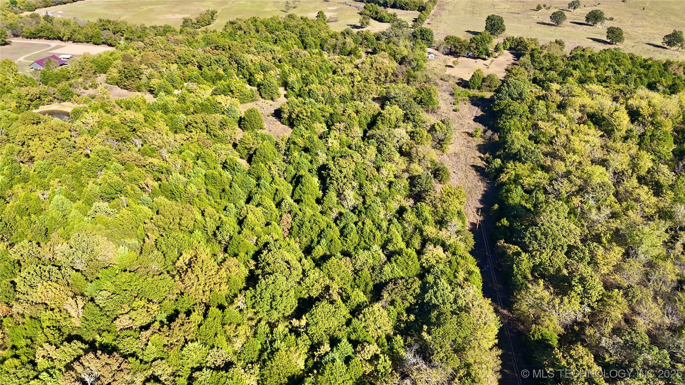 31651 W County Road 1240 Property Photo 6