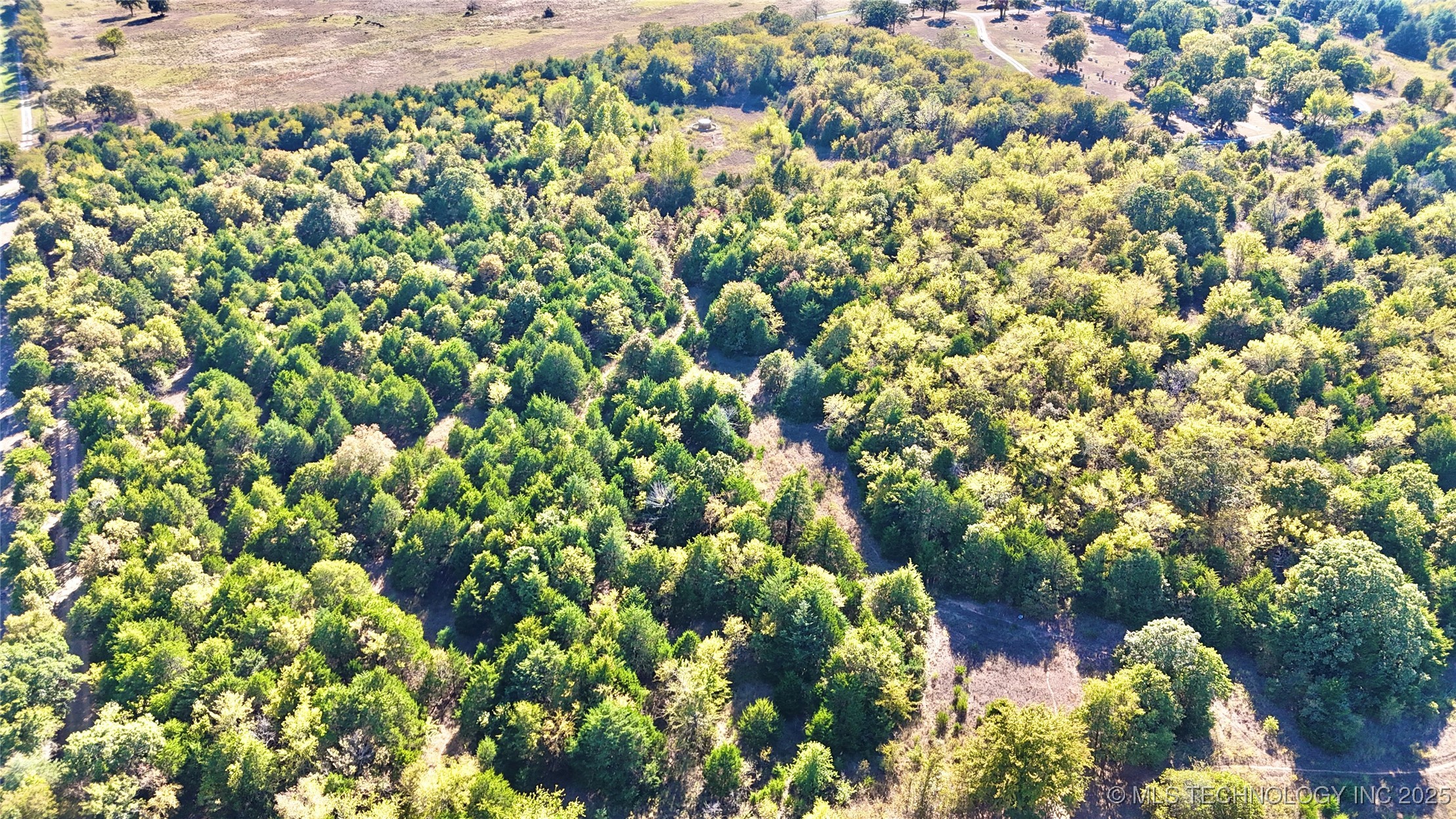 31651 W County Road 1240 Property Photo 8