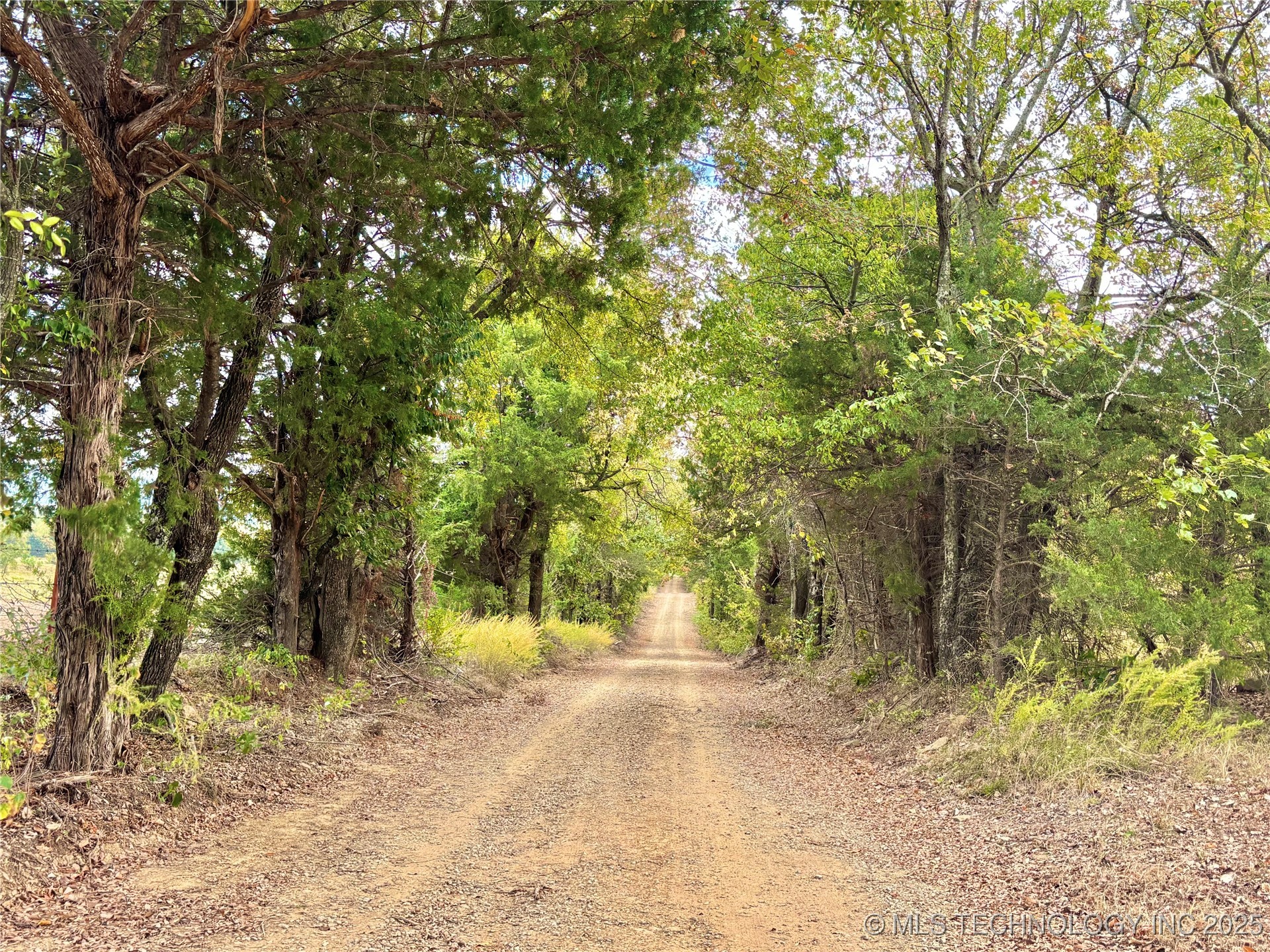 31651 W County Road 1240 Property Photo 19