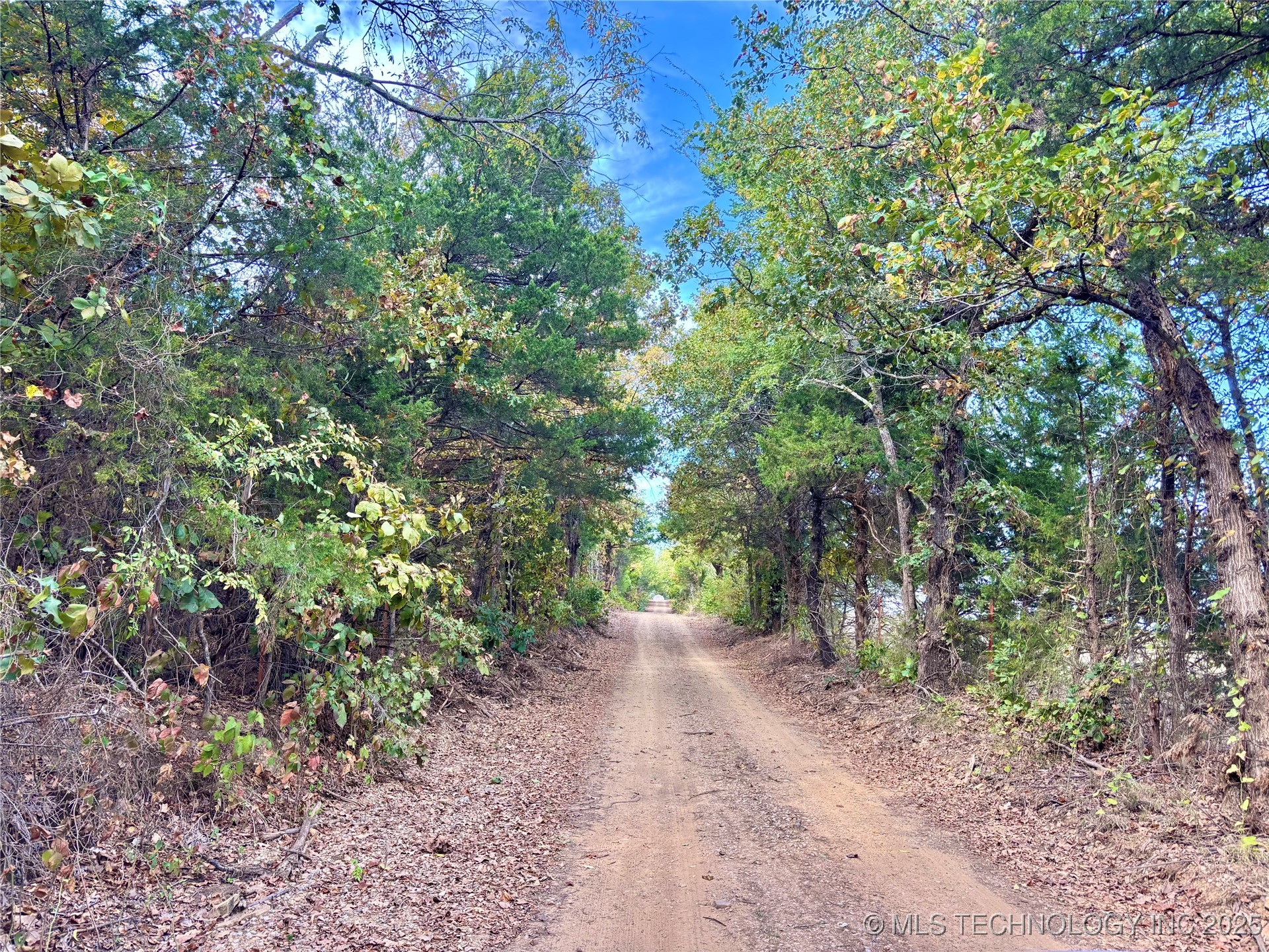 31651 W County Road 1240 Property Photo 26
