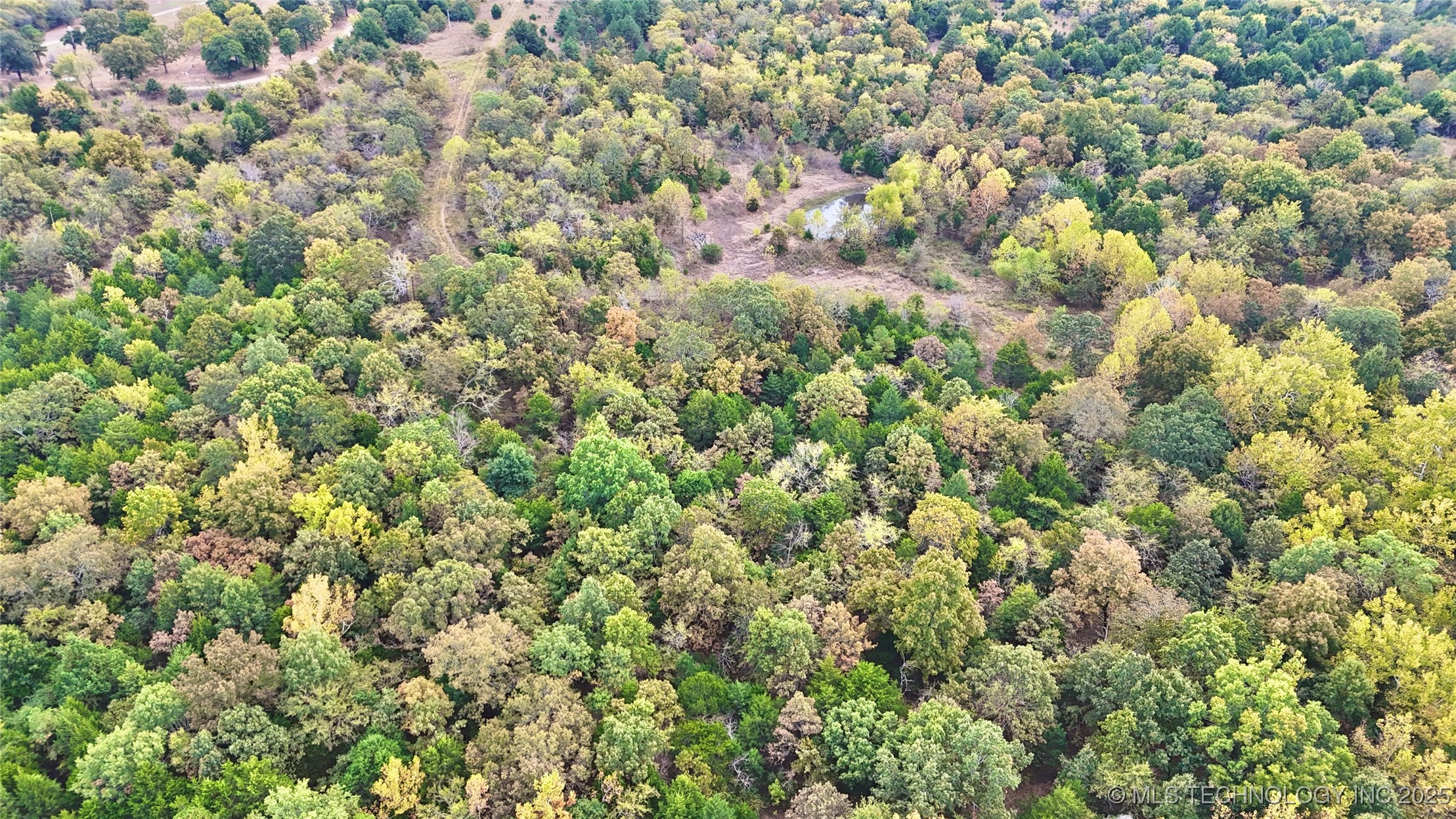 31651 W County Road 1240 Property Photo 33