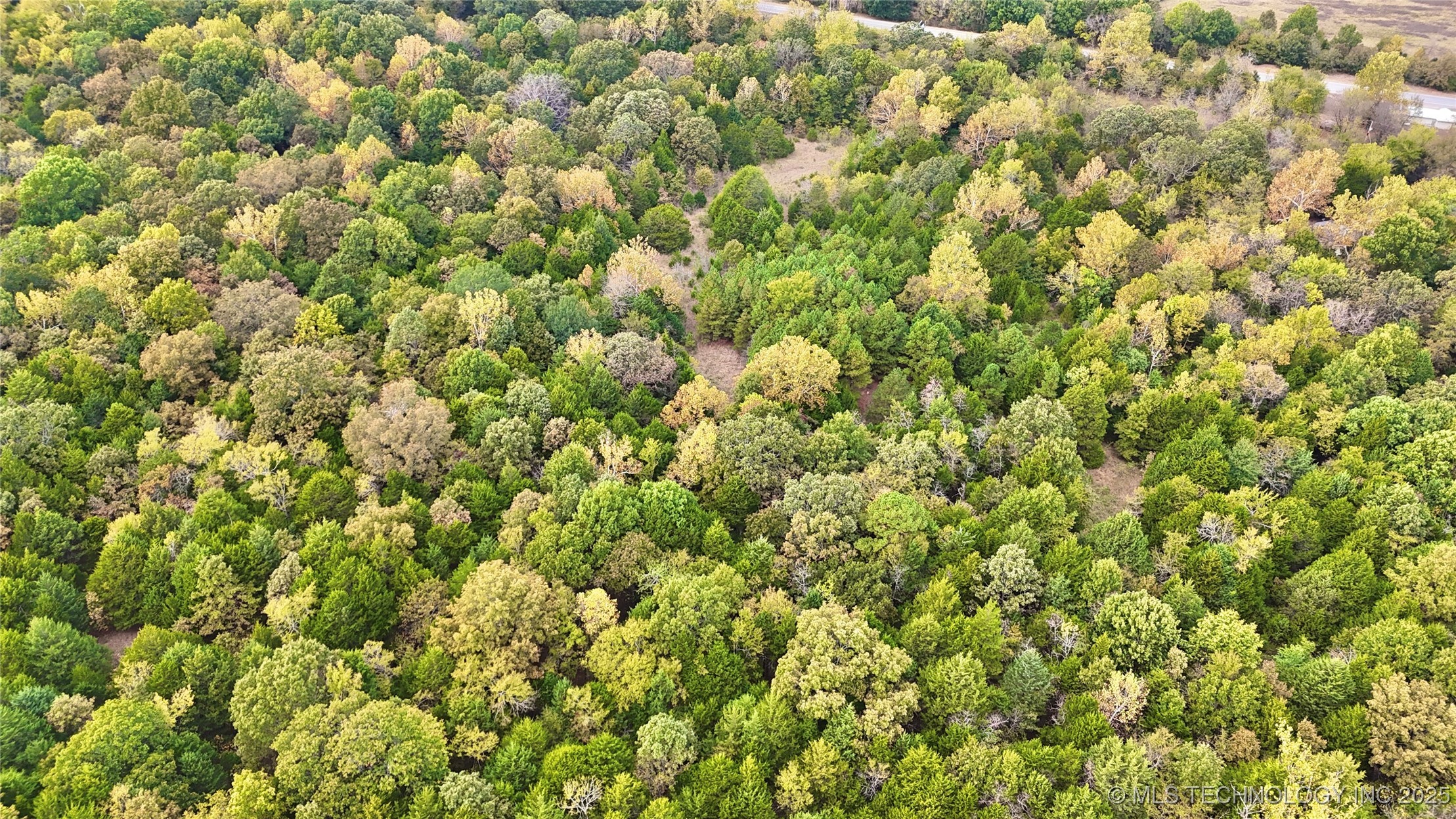 31651 W County Road 1240 Property Photo 35