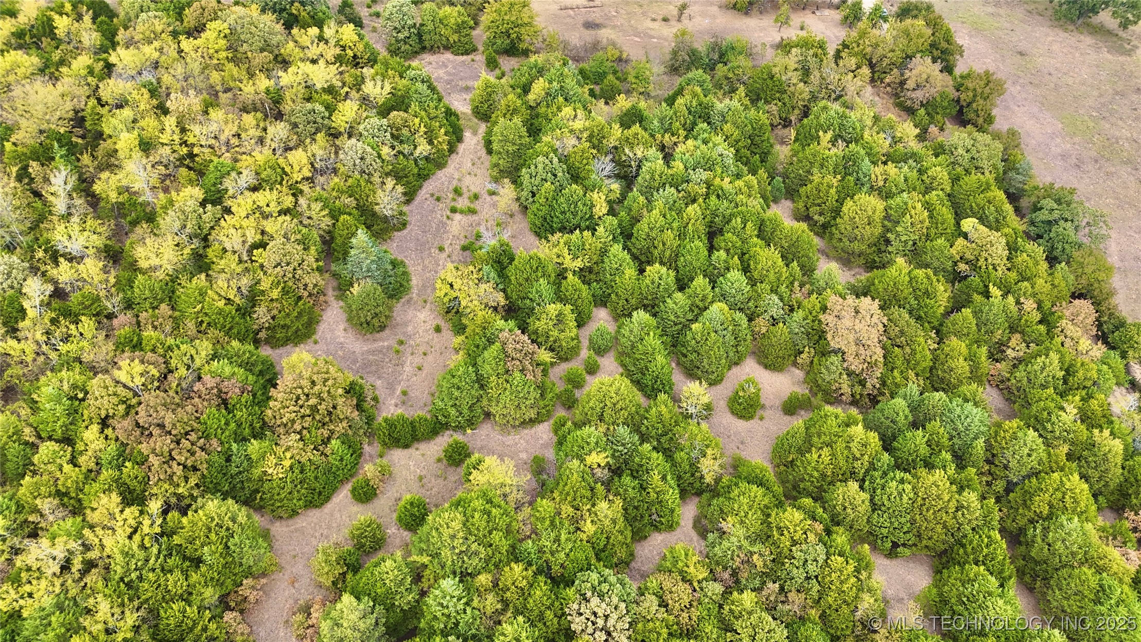 31651 W County Road 1240 Property Photo 37