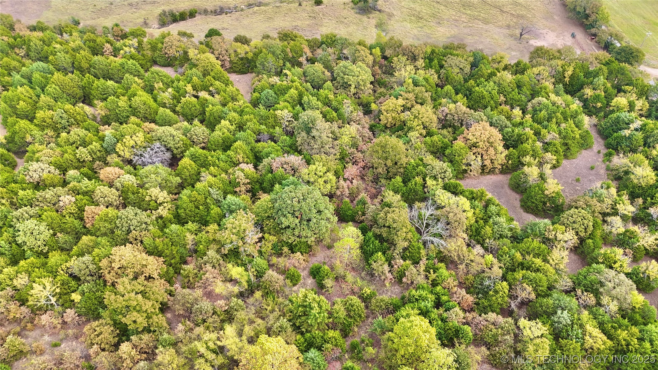 31651 W County Road 1240 Property Photo 38