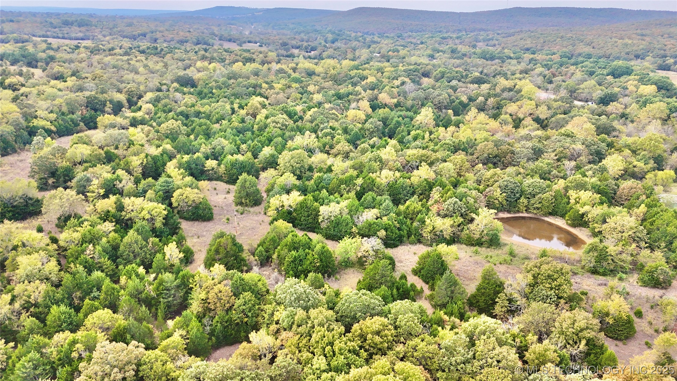 31651 W County Road 1240 Property Photo 45