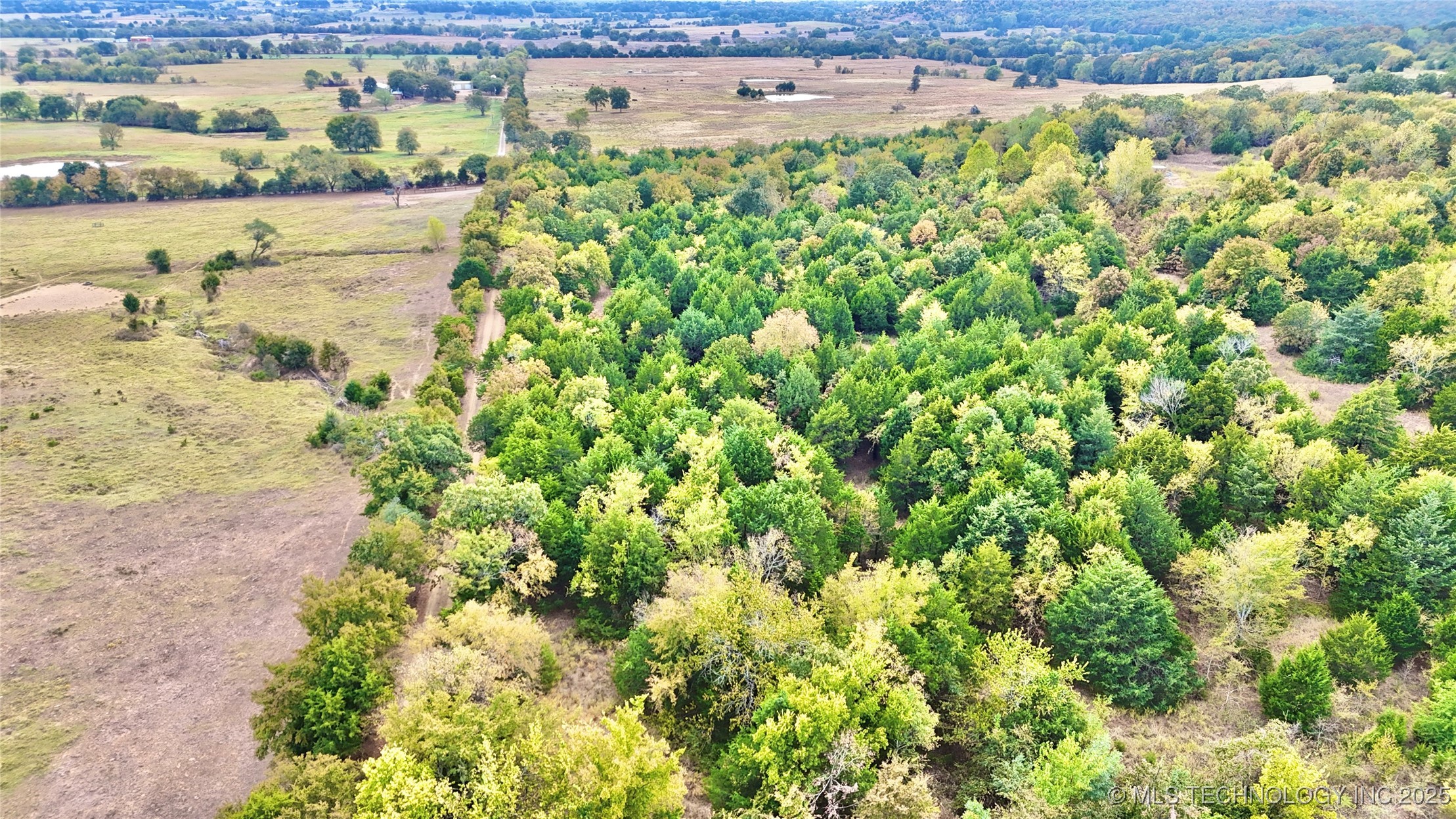 31651 W County Road 1240 Property Photo 48