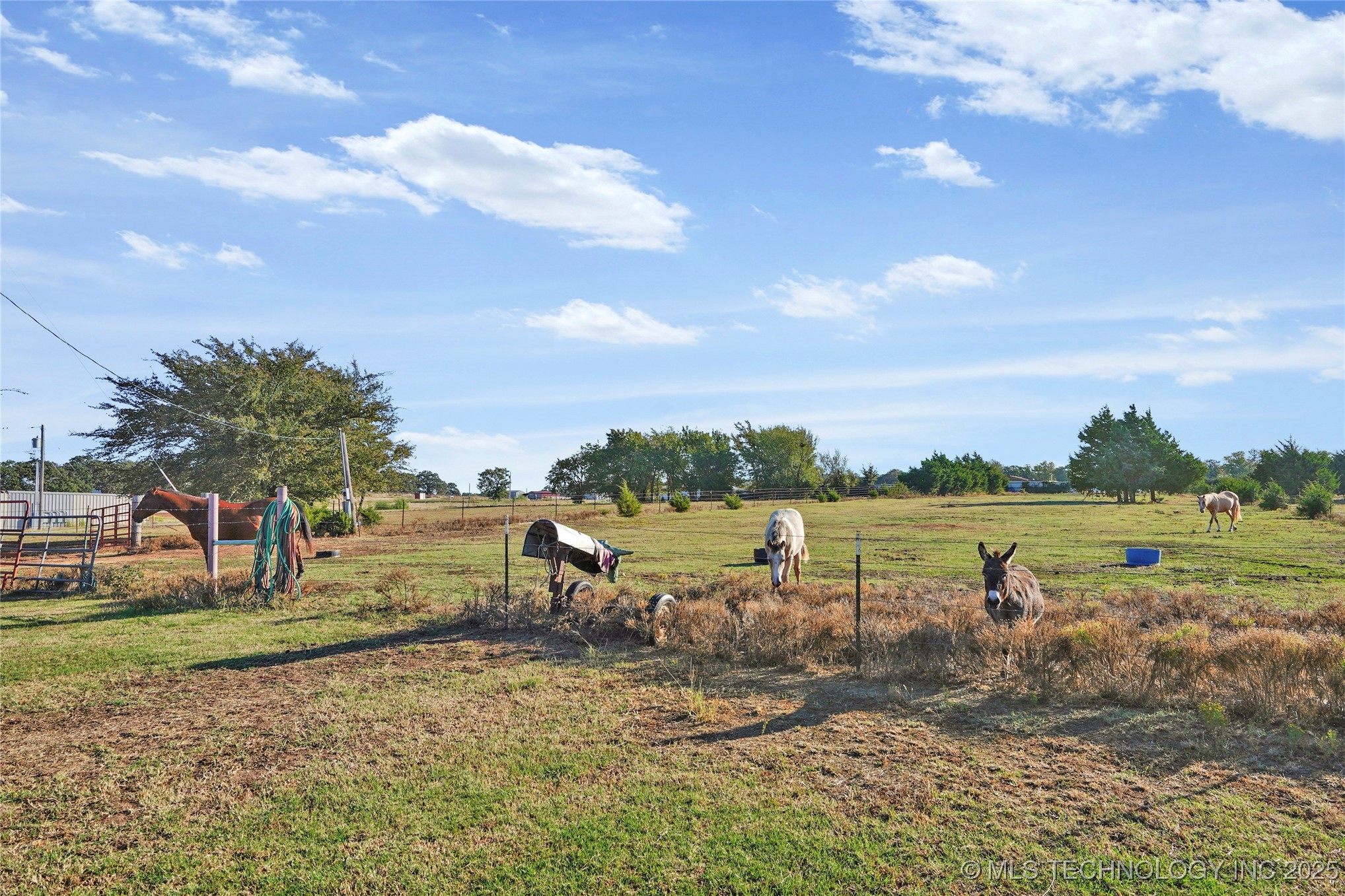 19619 S 337th West Avenue Property Photo 22
