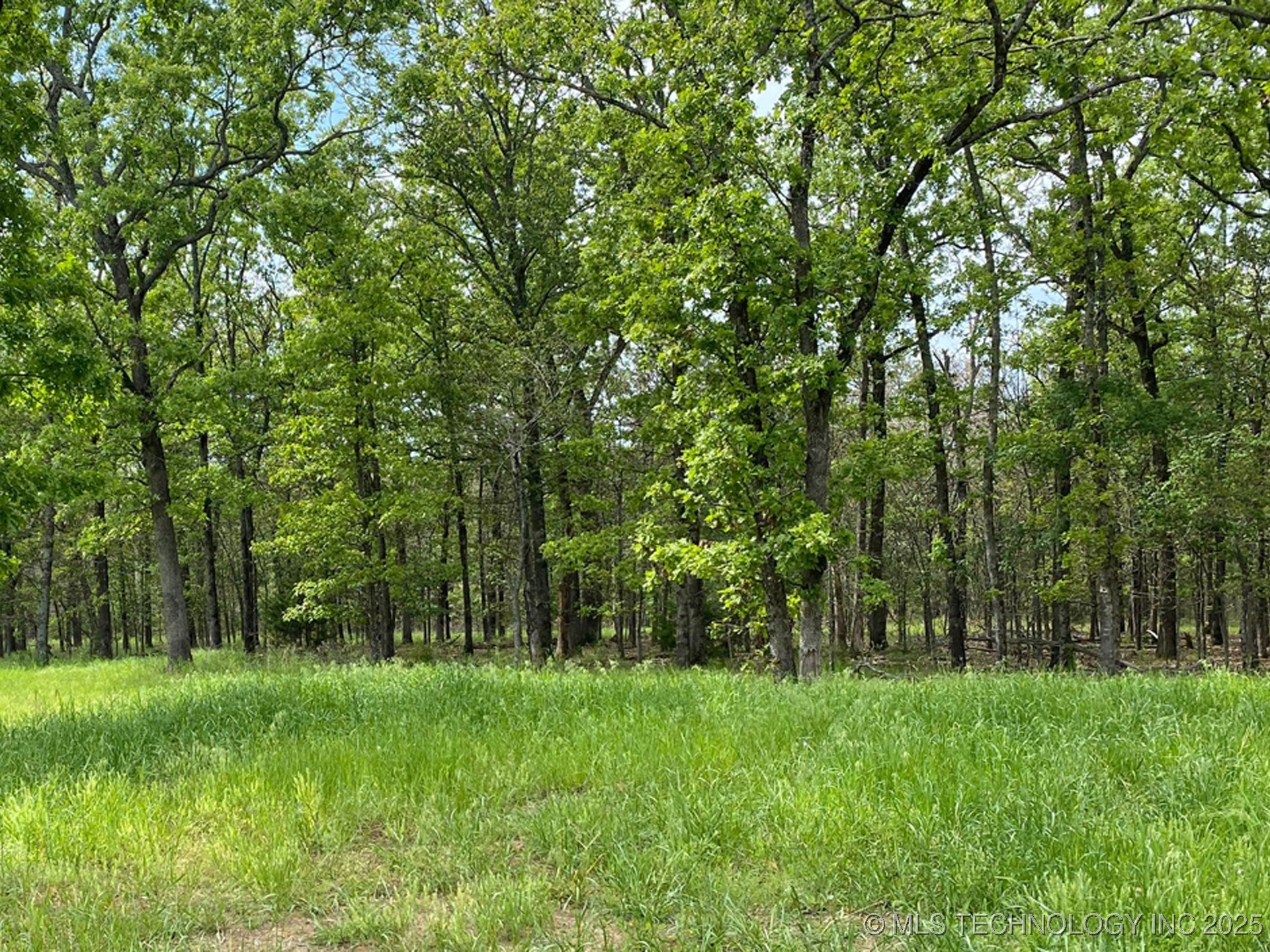 718 Ridgeview Drive Property Photo 4