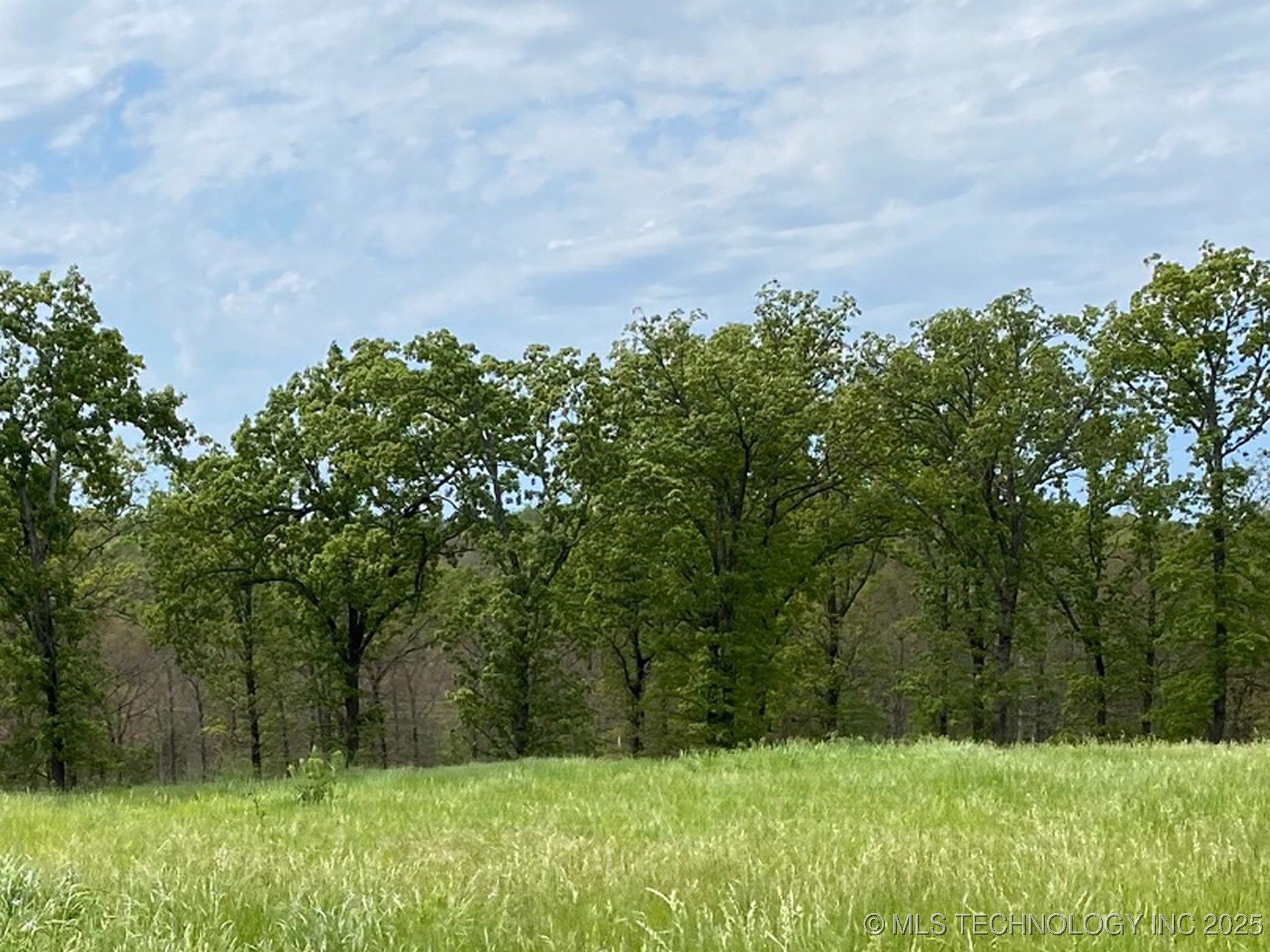 790 Ridgeview Drive Property Photo 5