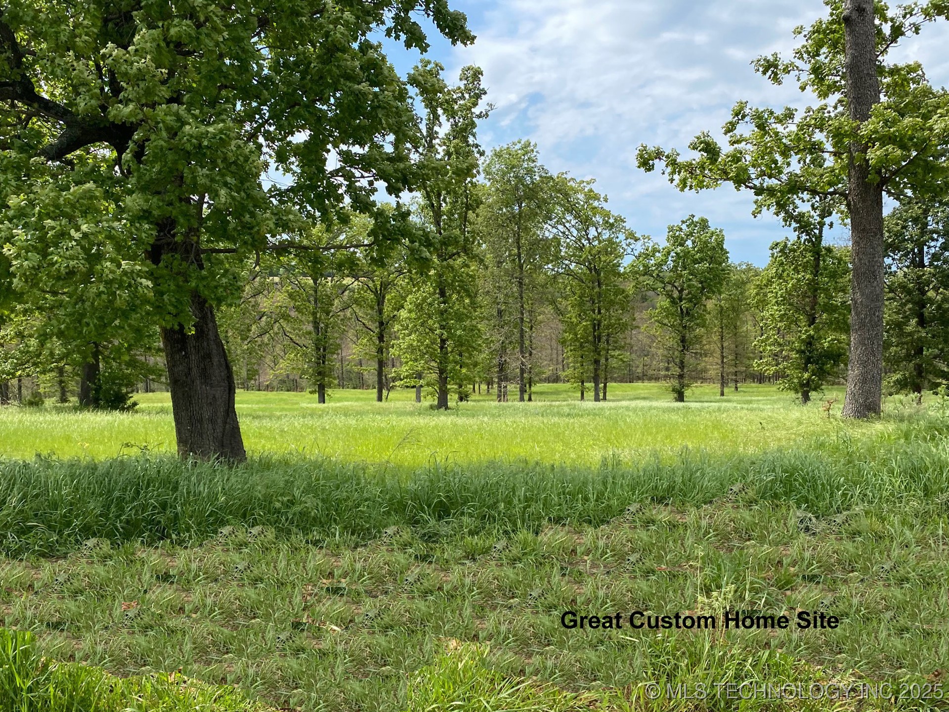 778 Ridgeview Drive Property Photo 1