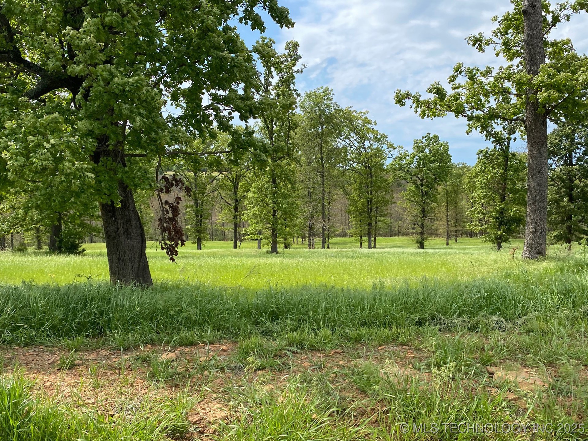 778 Ridgeview Drive Property Photo 4