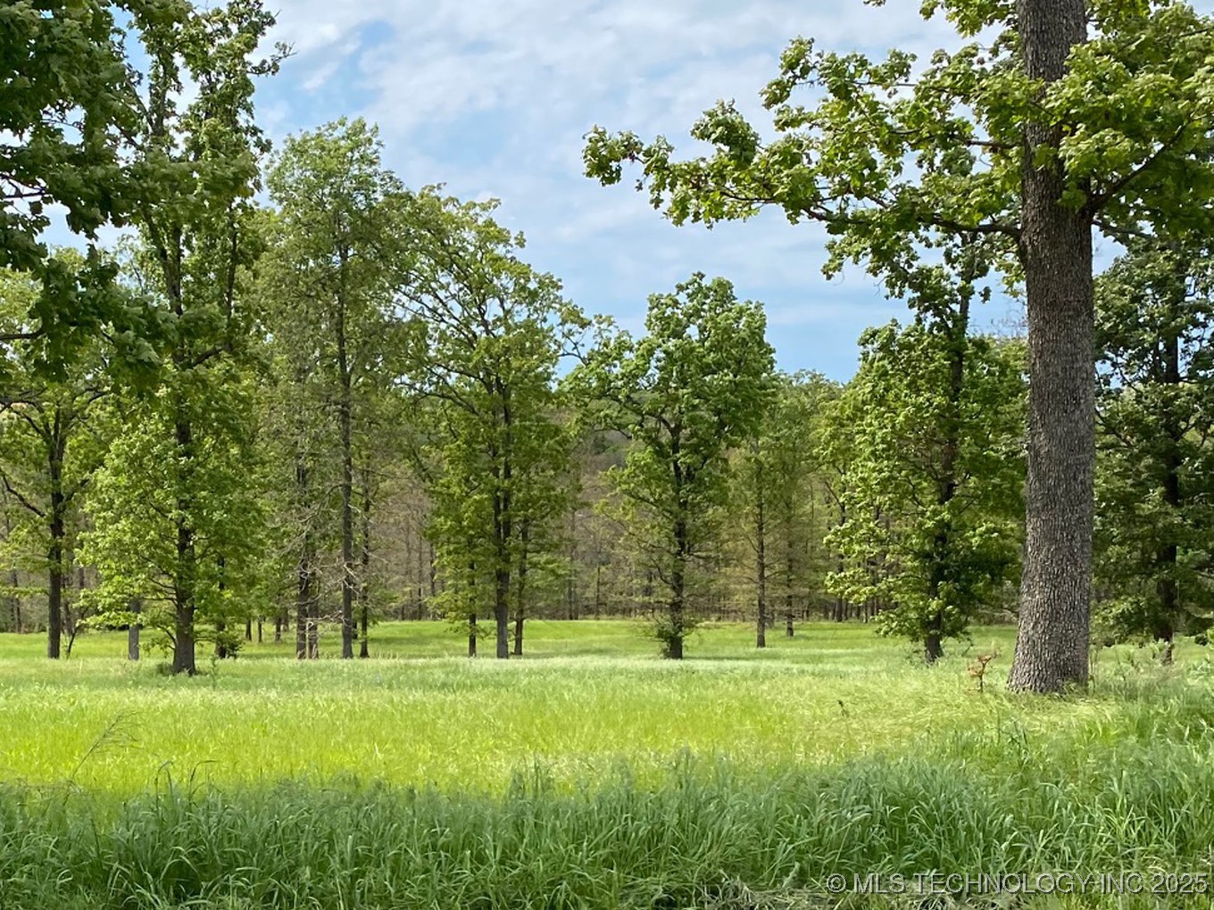 778 Ridgeview Drive Property Photo 5