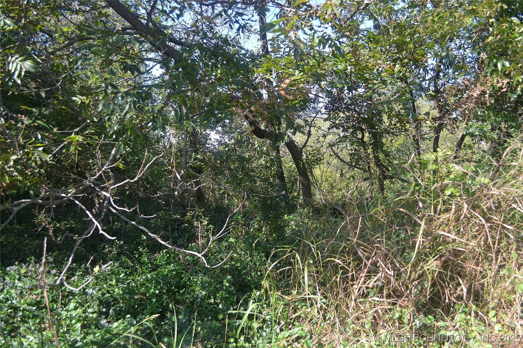 627 Tinker Avenue Property Photo 2